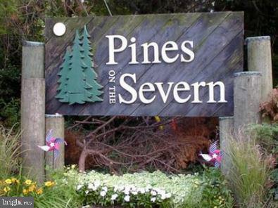 1485 Grandview Road Arnold, MD 21012 - Photo 41 of 50 Water privileged Pines on the Severn