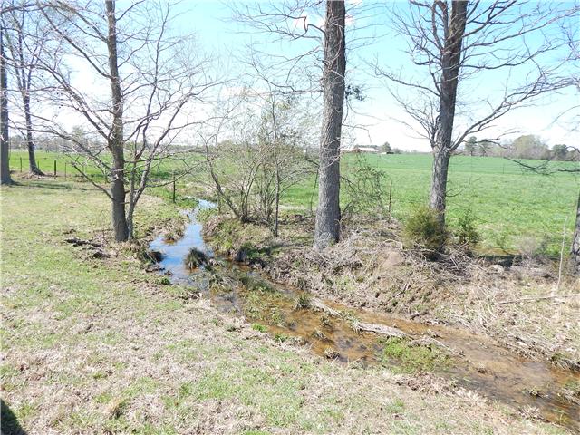 25517 Sweet Springs Road Elkmont, AL 35620 - Photo 13 of 18 a view of a yard with a tree