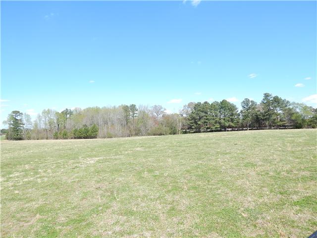 25517 Sweet Springs Road Elkmont, AL 35620 - Photo 18 of 18 a view of outdoor space and yard