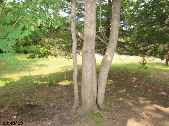 12 Robinson Road Tuckerton, NJ 08224 - Photo 20 of 20 Gallery Image 20