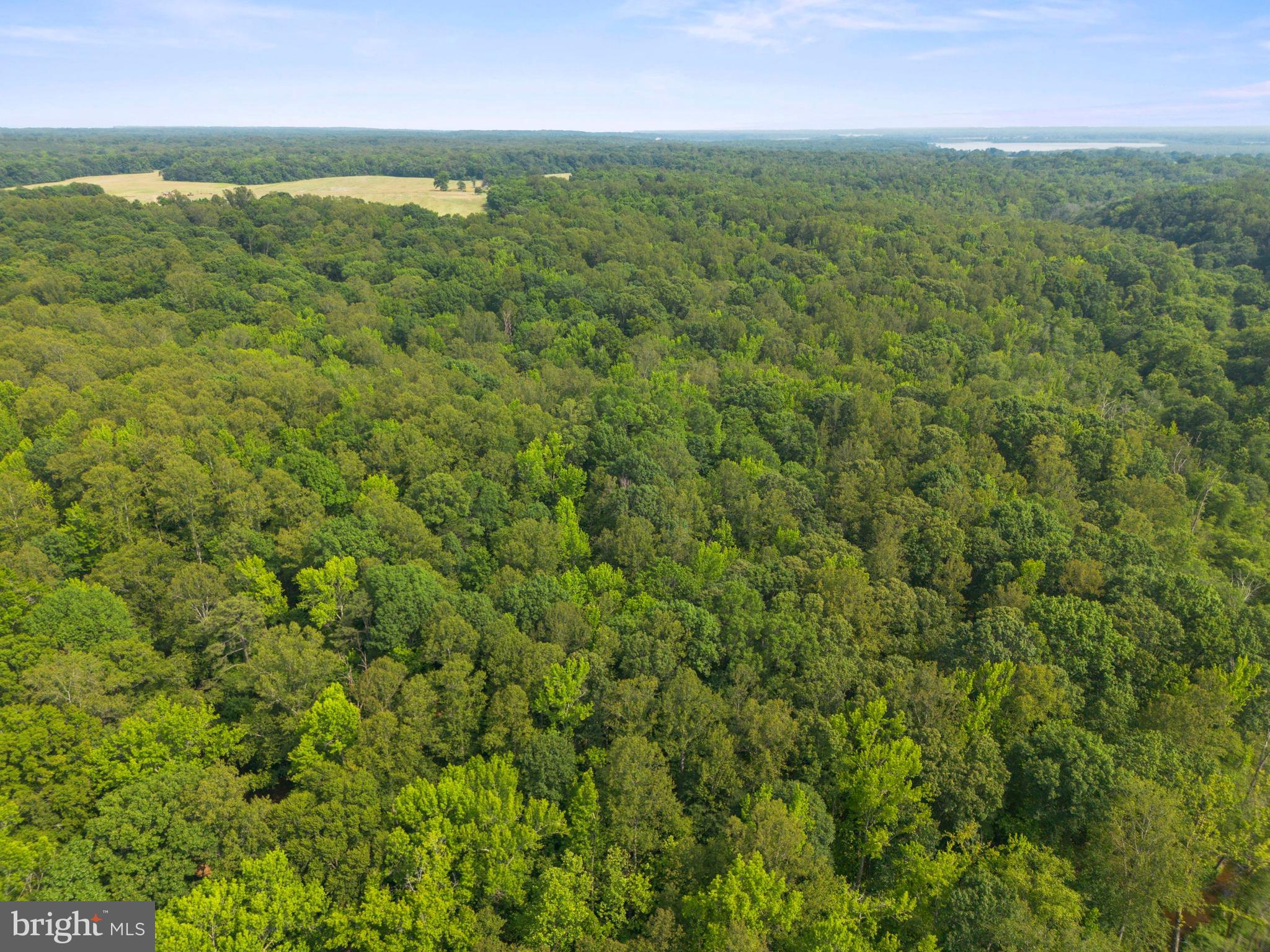 Lot 3 Salem Church Road King George, VA 22485 - Photo 2 of 10 a view of a field with an ocean