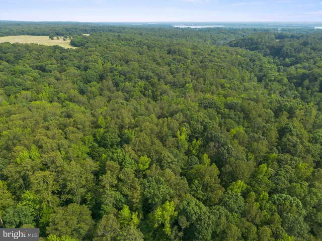 $129,900 | Lot 3 Salem Church Road, King George, VA 22485