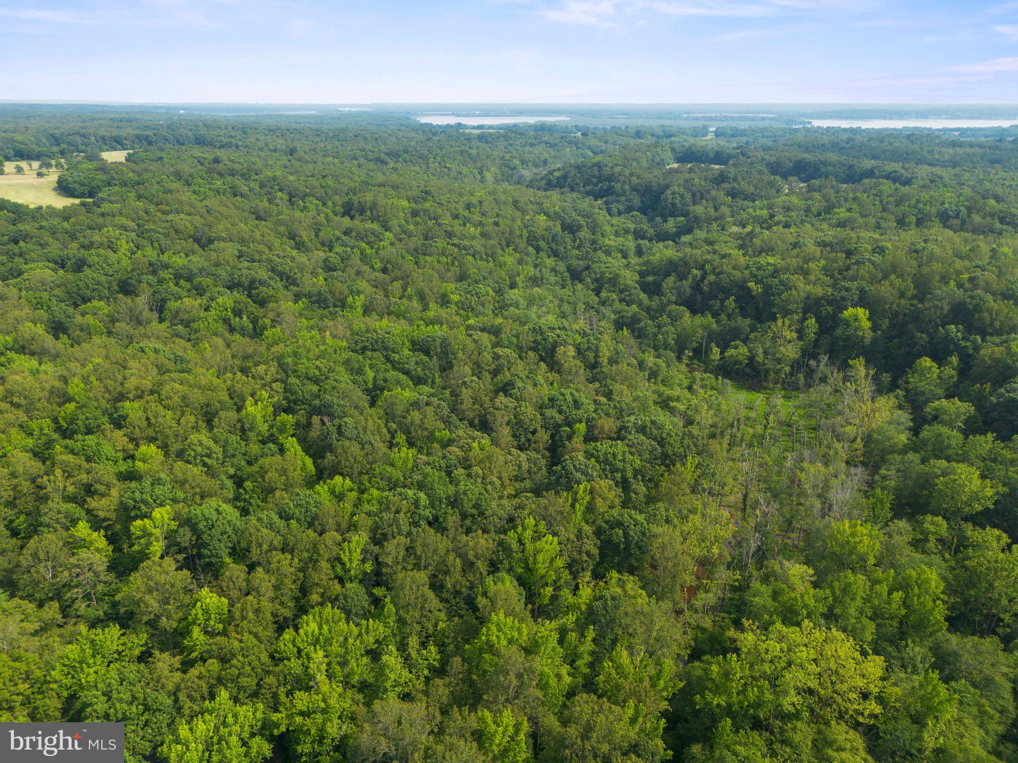 Lot 3 Salem Church Road King George, VA 22485 - Photo 5 of 10 a view of a city with lush green forest