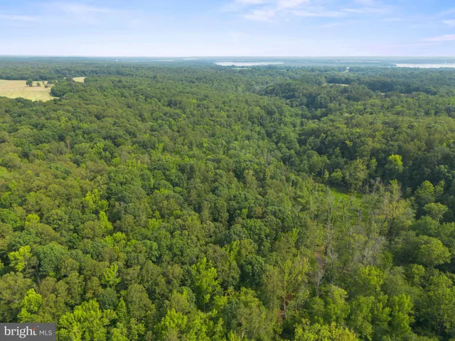 $129,900 | Lot 3 Salem Church Road, King George, VA 22485