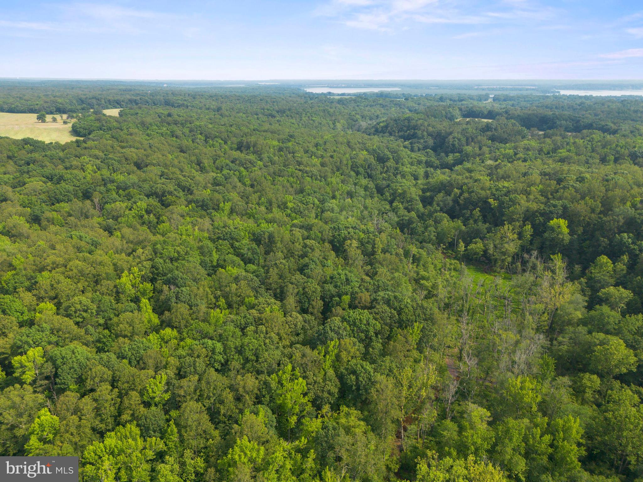 Lot 3 Salem Church Road King George, VA 22485 - Photo 6 of 10 a view of a field with an ocean view