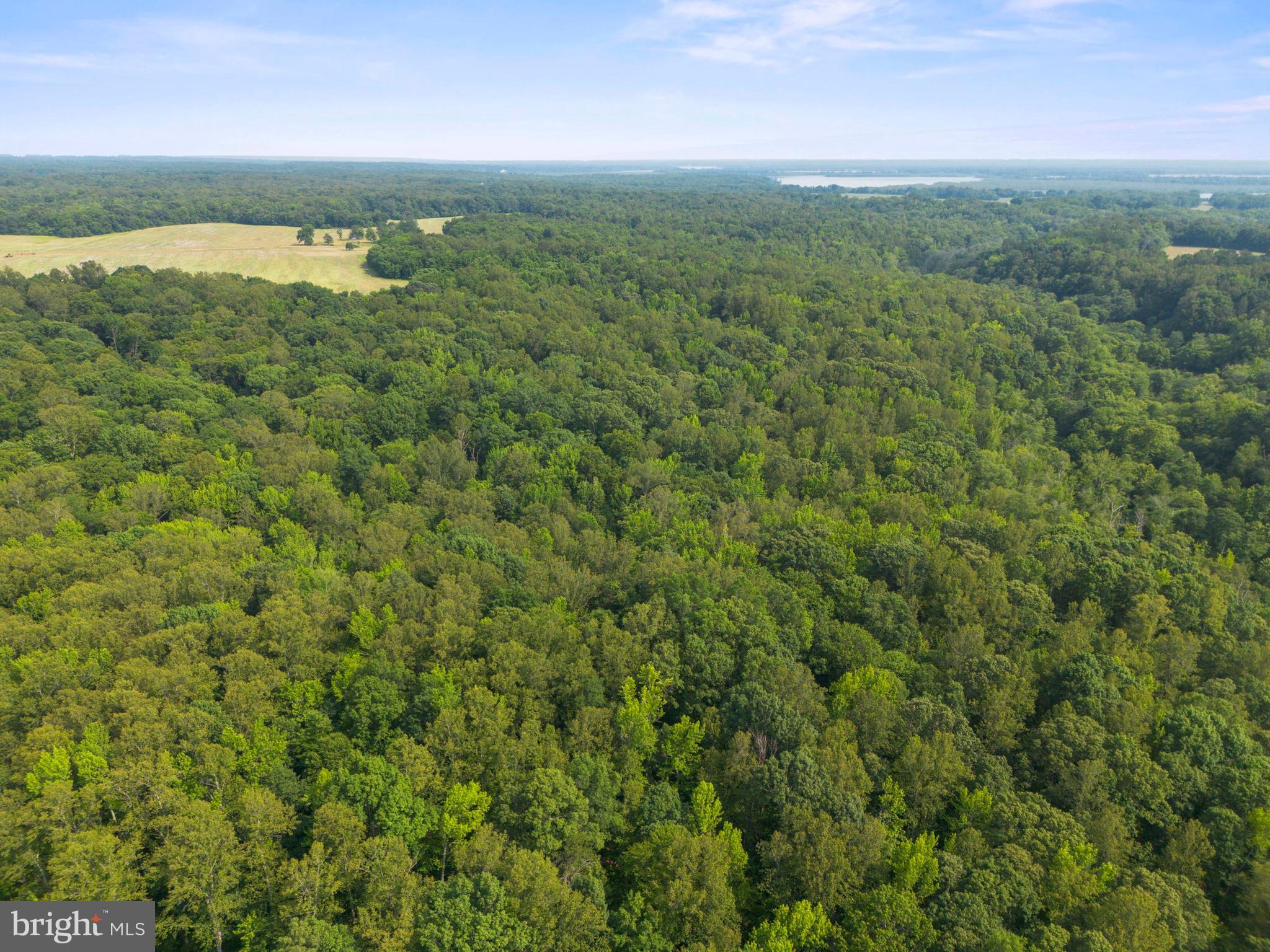 Lot 3 Salem Church Road King George, VA 22485 - Photo 7 of 10 a view of a city with lush green forest