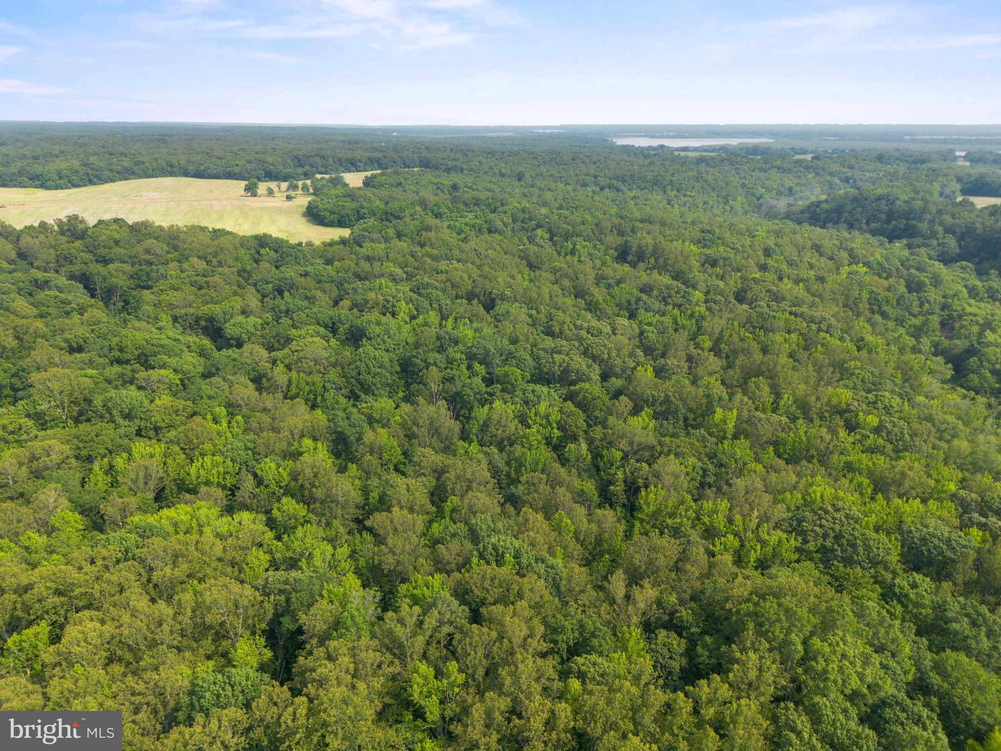 Lot 3 Salem Church Road King George, VA 22485 - Photo 8 of 10 a view of a field with an ocean beach