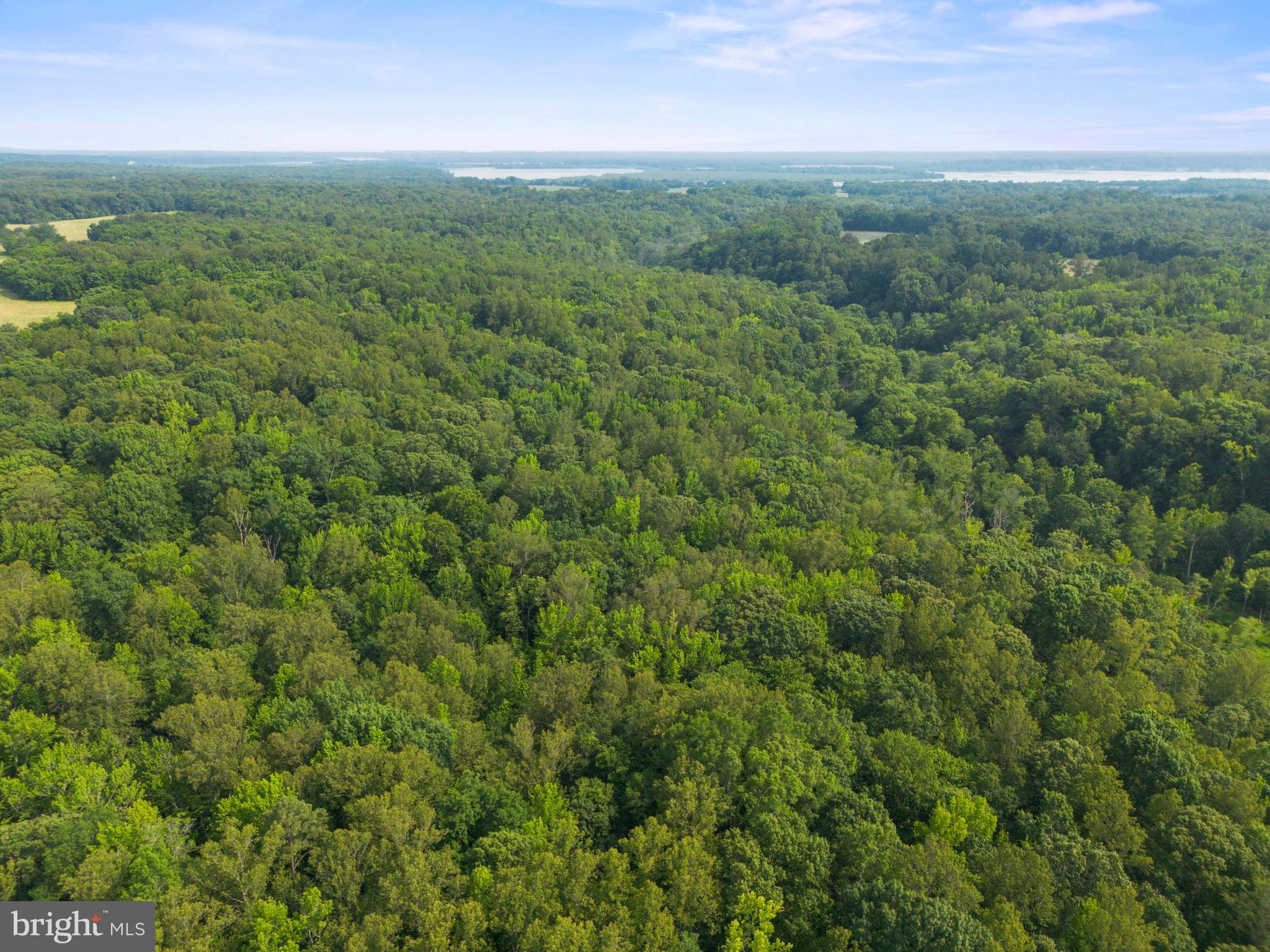 Lot 3 Salem Church Road King George, VA 22485 - Photo 10 of 10 a view of a green field with lots of bushes