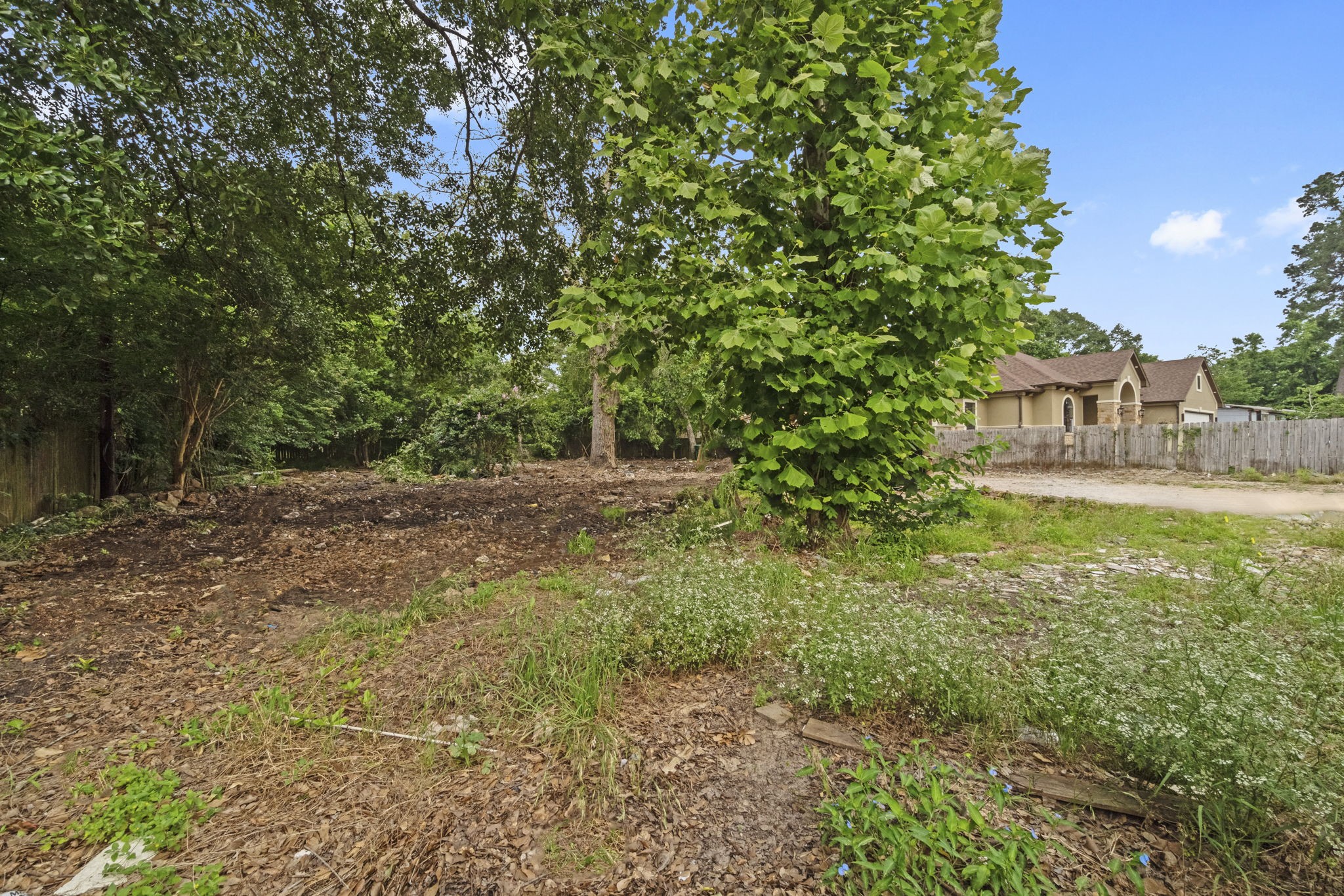 1615 Gilmore Street Conroe, TX 77301 - Photo 1 of 16 a view of a yard with a tree