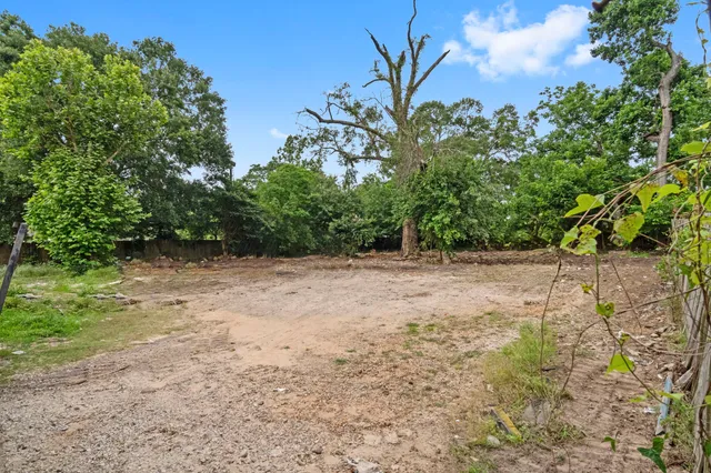 a view of backyard with green space
