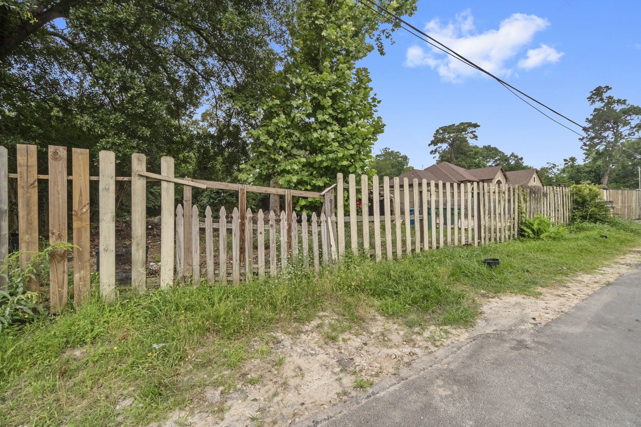 1615 Gilmore Street Conroe, TX 77301 - Photo 6 of 16 a view of a garden