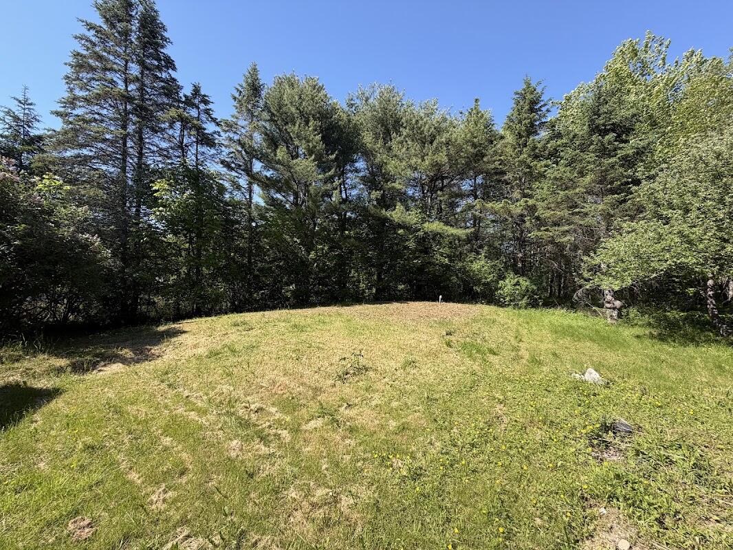 1183 River Road Bucksport, ME 04416 - Photo 2 of 18 IMG_6562
