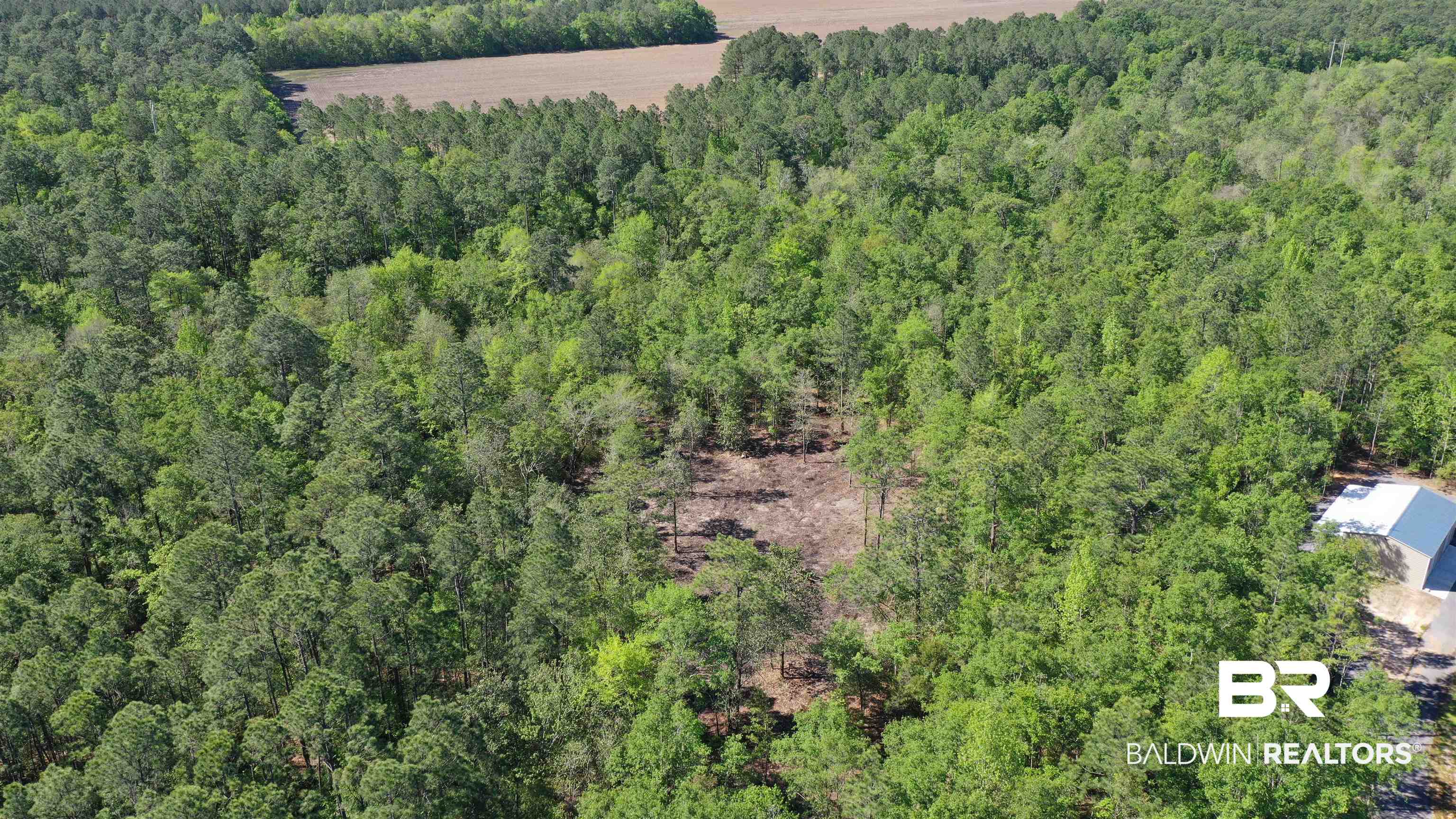 3 Brookwood Road Atmore, AL 36502 - Photo 2 of 15