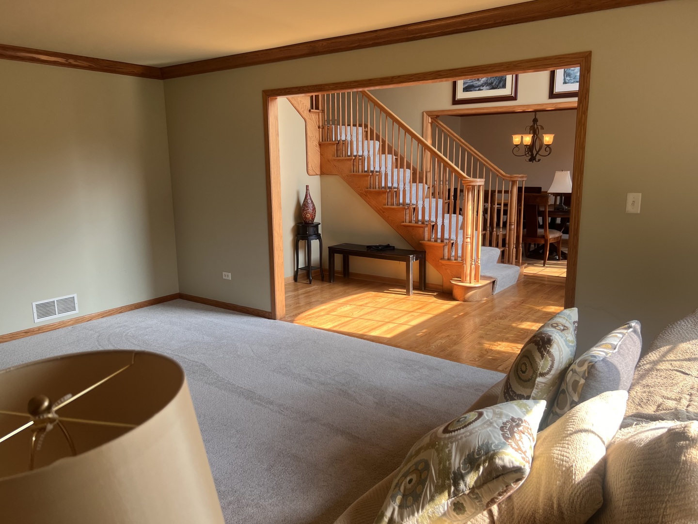 21367 Brittany Drive Frankfort, IL 60423 - Photo 3 of 58