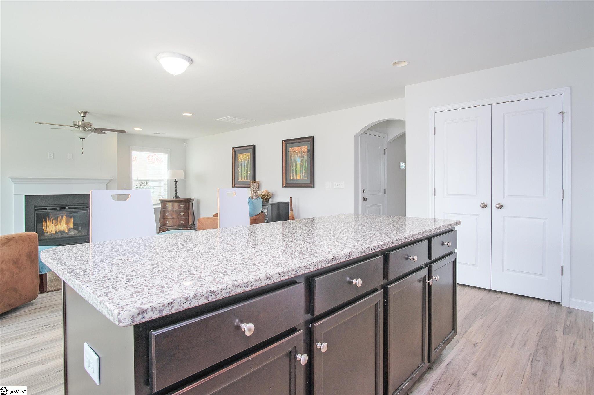 305 Elevation Court Inman, SC 29349 - Photo 13 of 32