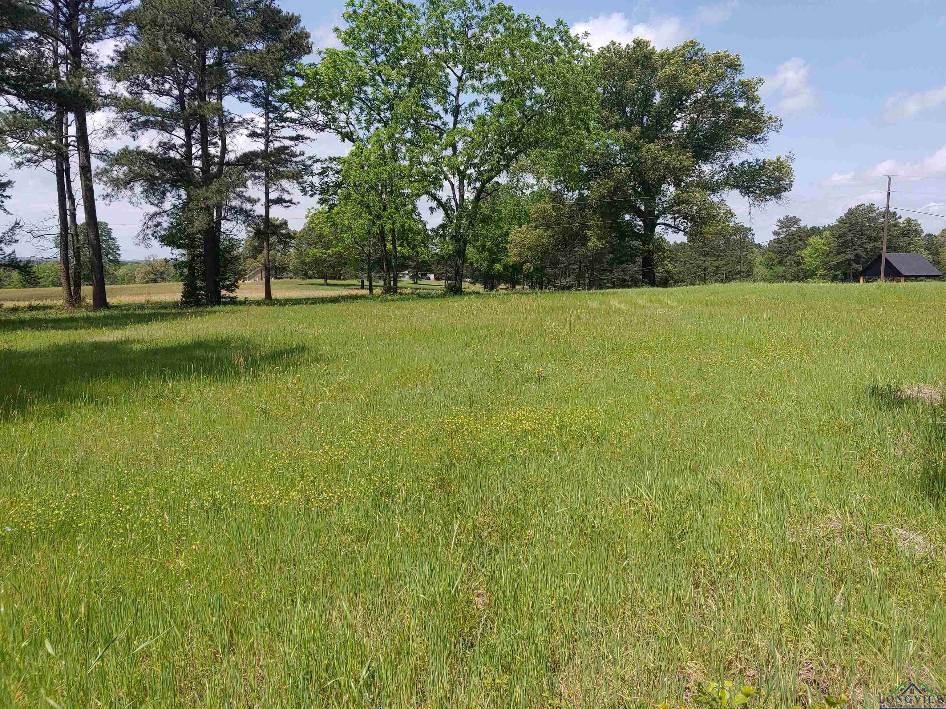 1101 Fire Tower Road Hallsville, TX 75650 - Photo 2 of 6 Gallery Image 2