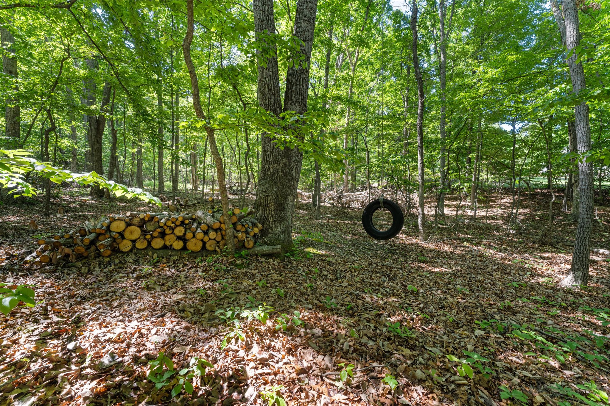 3800 Mountain Road Haymarket, VA 20169 - Photo 21 of 73 Storybook wooded yard & a classic tire swing.