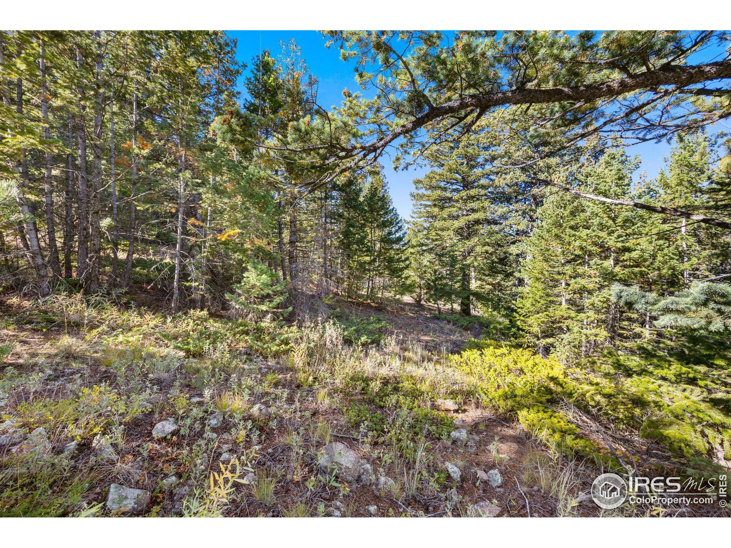 323 Roxbury Drive Boulder, CO 80302 - Photo 11 of 25