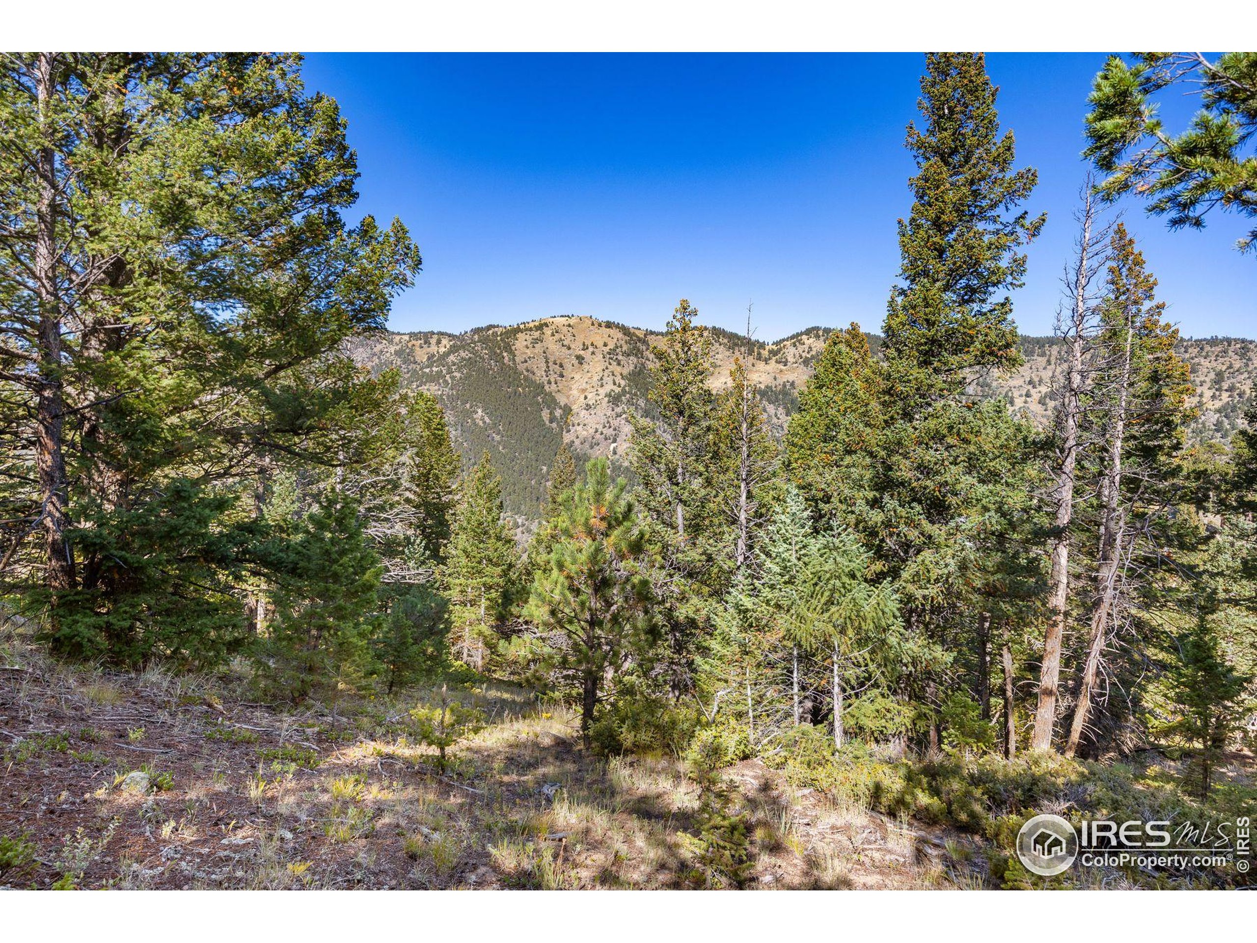 323 Roxbury Drive Boulder, CO 80302 - Photo 15 of 25