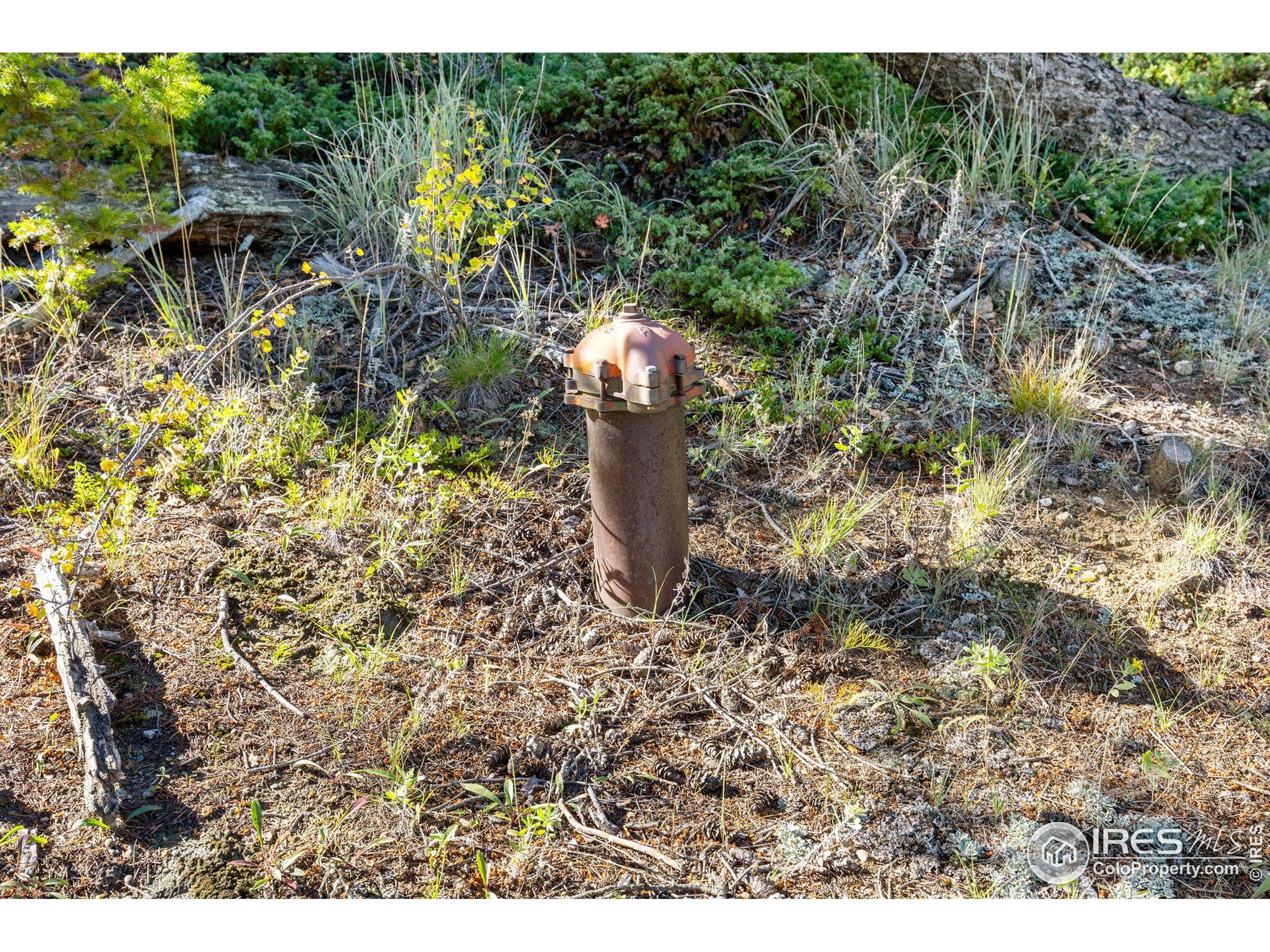 323 Roxbury Drive Boulder, CO 80302 - Photo 25 of 25