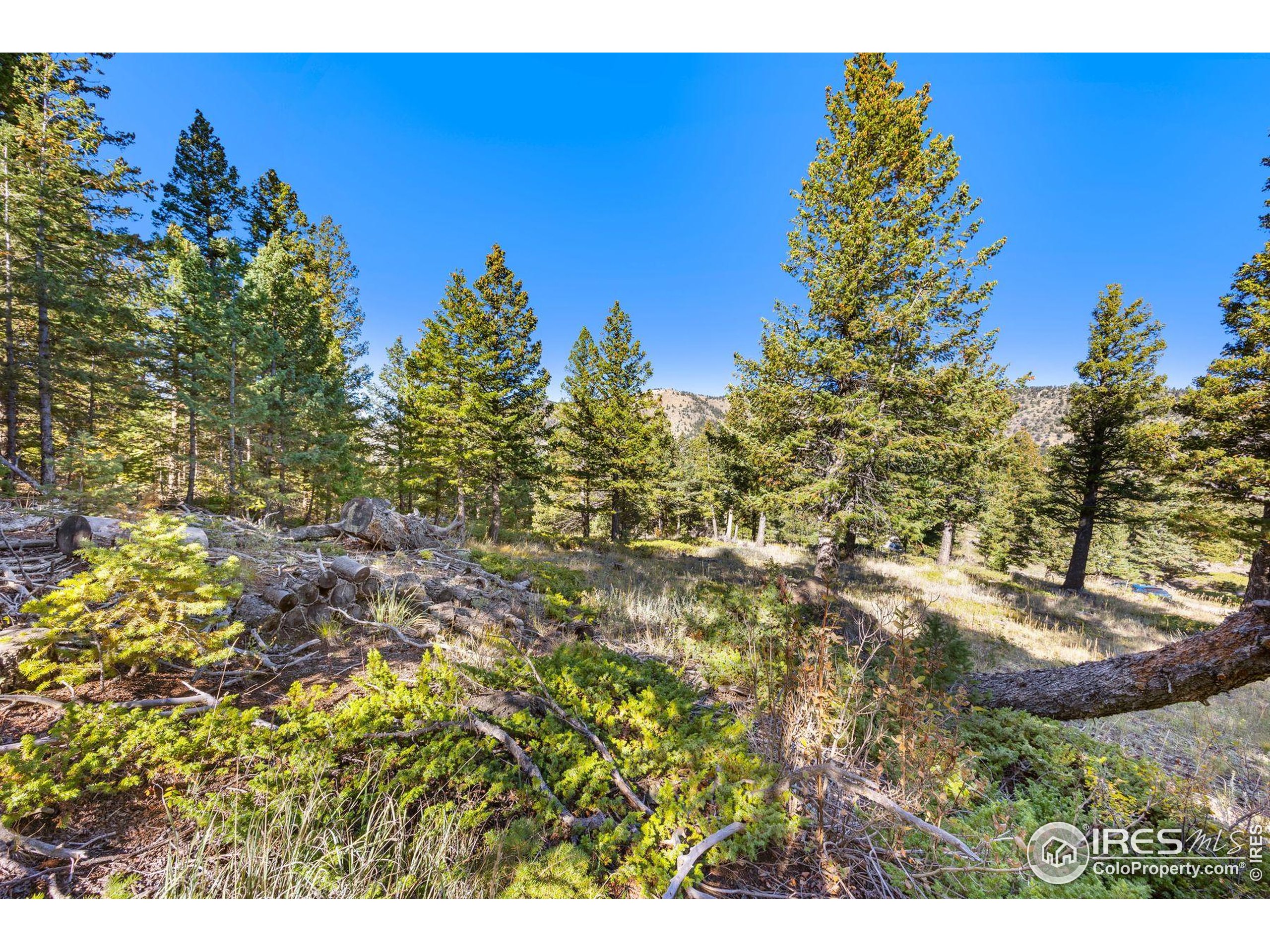 323 Roxbury Drive Boulder, CO 80302 - Photo 4 of 25