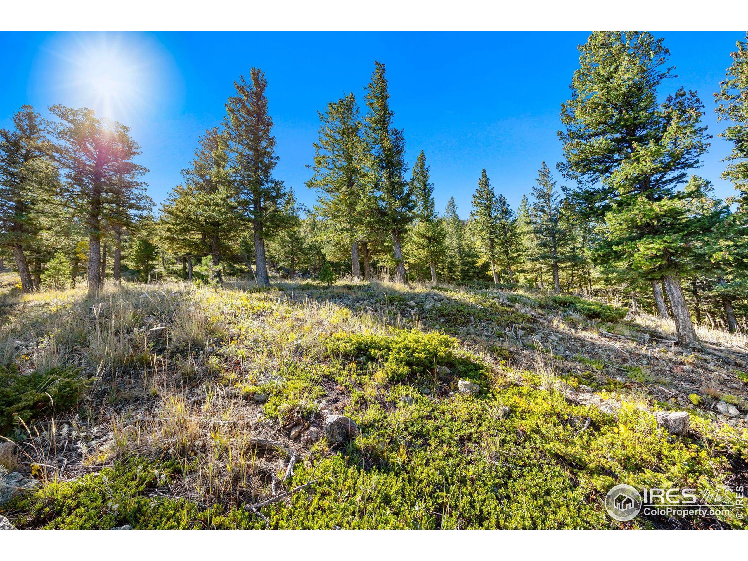 323 Roxbury Drive Boulder, CO 80302 - Photo 7 of 25
