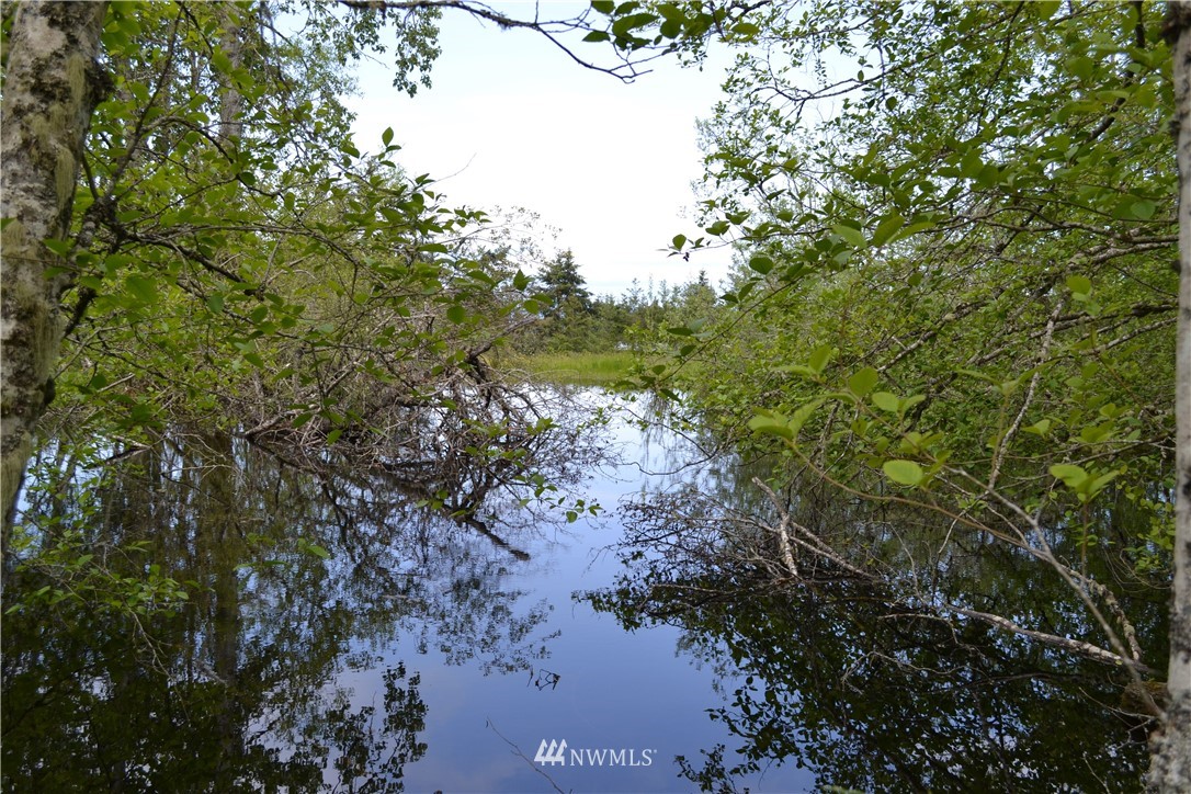 22 Hoare Road Port Angeles, WA 98363 - Photo 19 of 23 Gallery Image 19