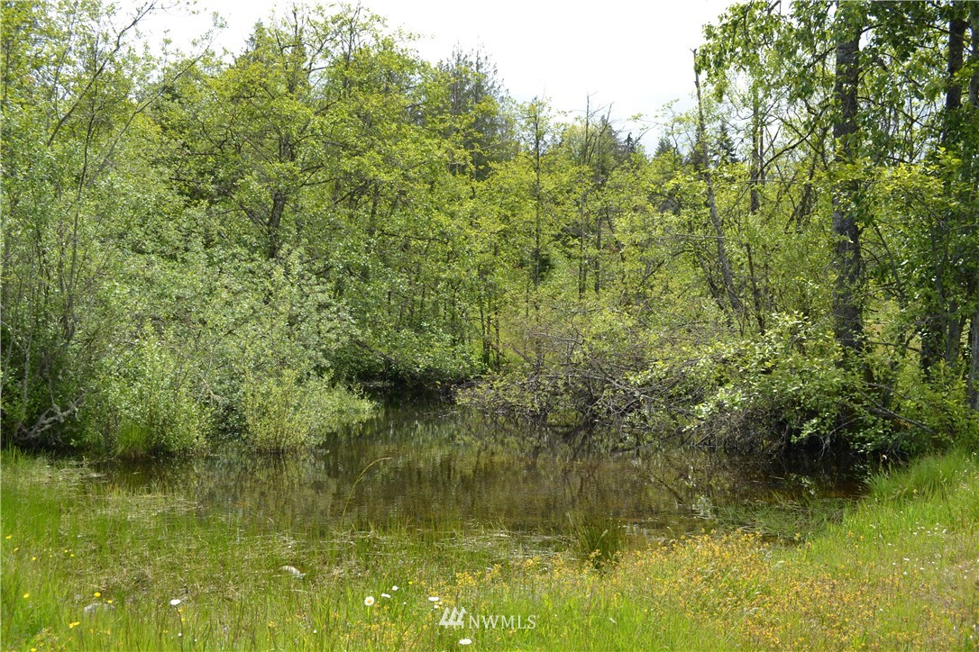 22 Hoare Road Port Angeles, WA 98363 - Photo 20 of 23 Gallery Image 20