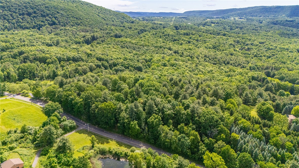 9038 Strong Hill Road Naples, NY 14512 - Photo 30 of 30