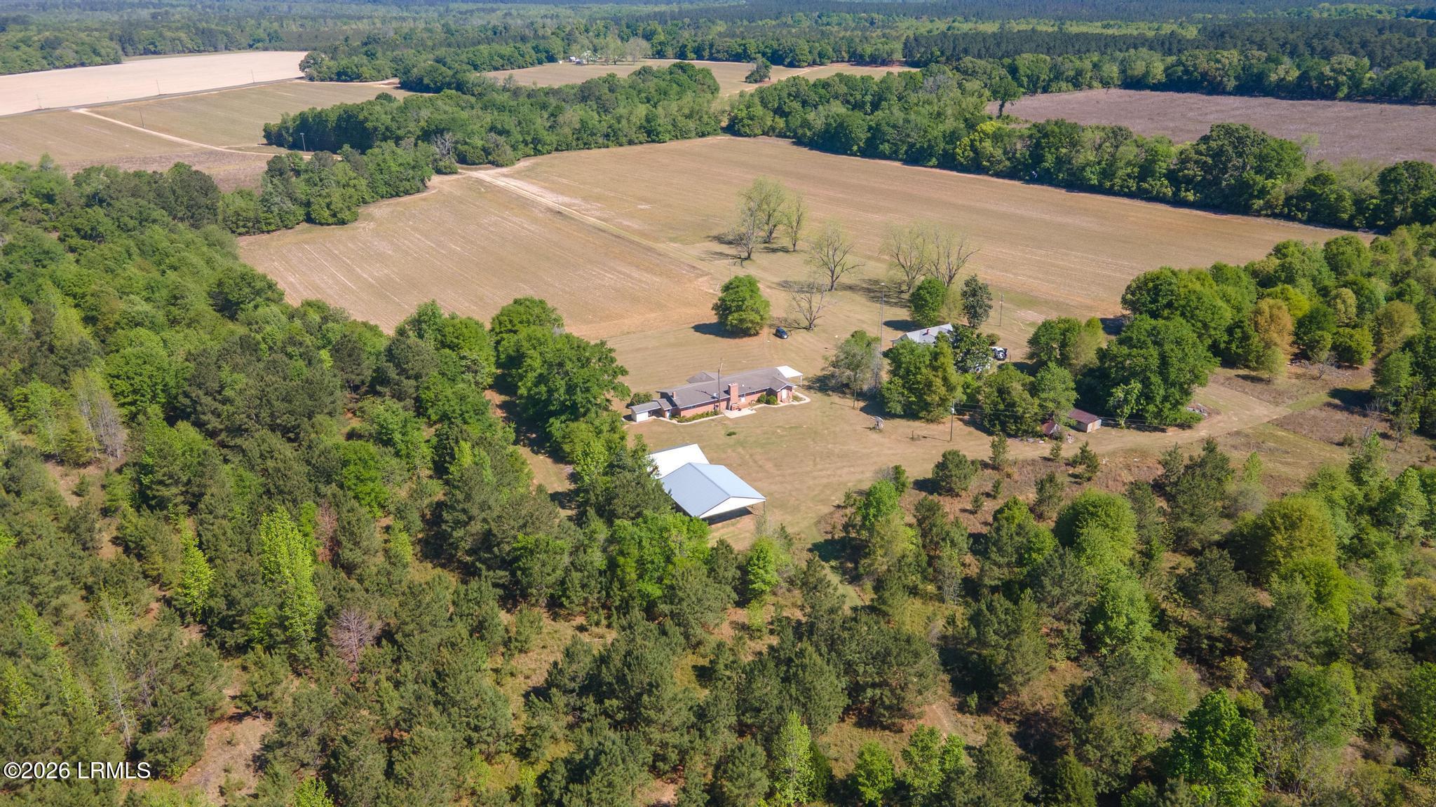 2672 Big Fork Road Ulmer, SC 29849 - Photo 33 of 40 DJI_0702