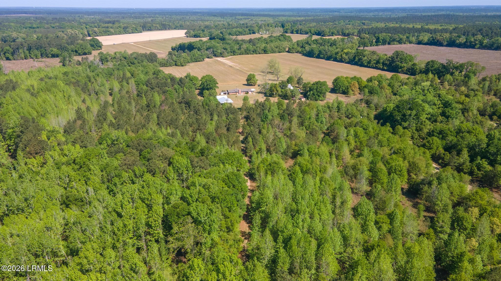 2672 Big Fork Road Ulmer, SC 29849 - Photo 38 of 41 DJI_0695