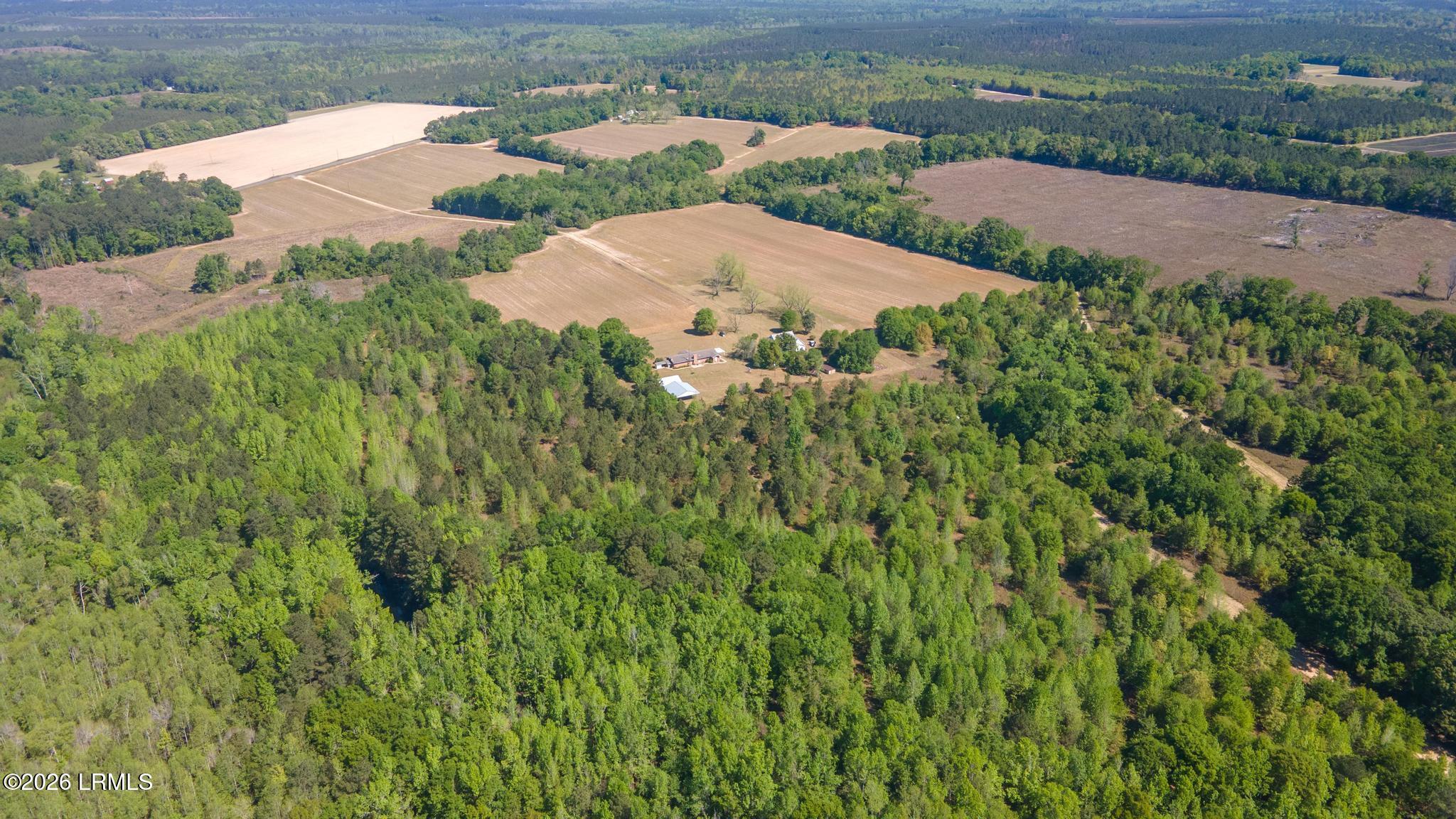 2672 Big Fork Road Ulmer, SC 29849 - Photo 40 of 40 DJI_0701