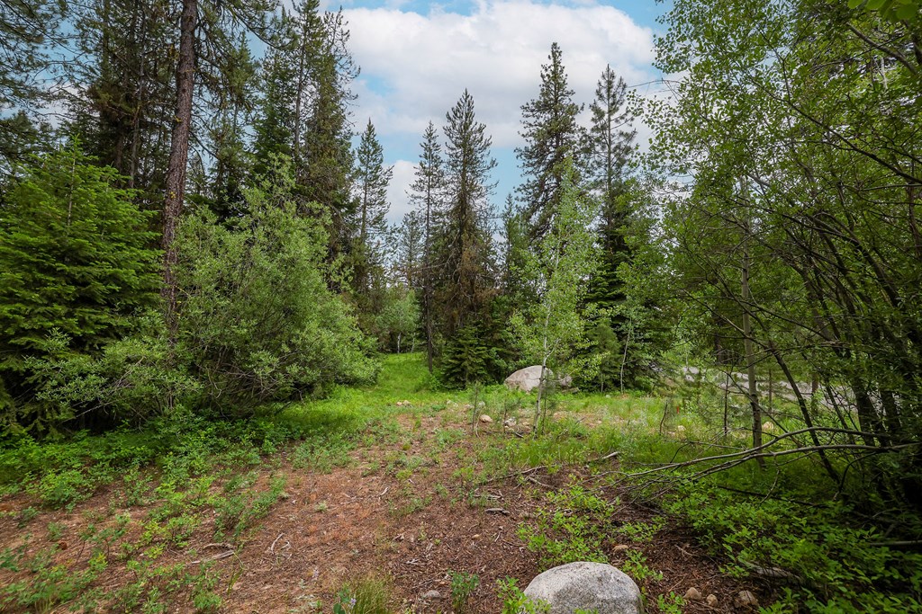 431 Timbercrest Loop, Unit 4 McCall, ID 83638 - Photo 10 of 28
