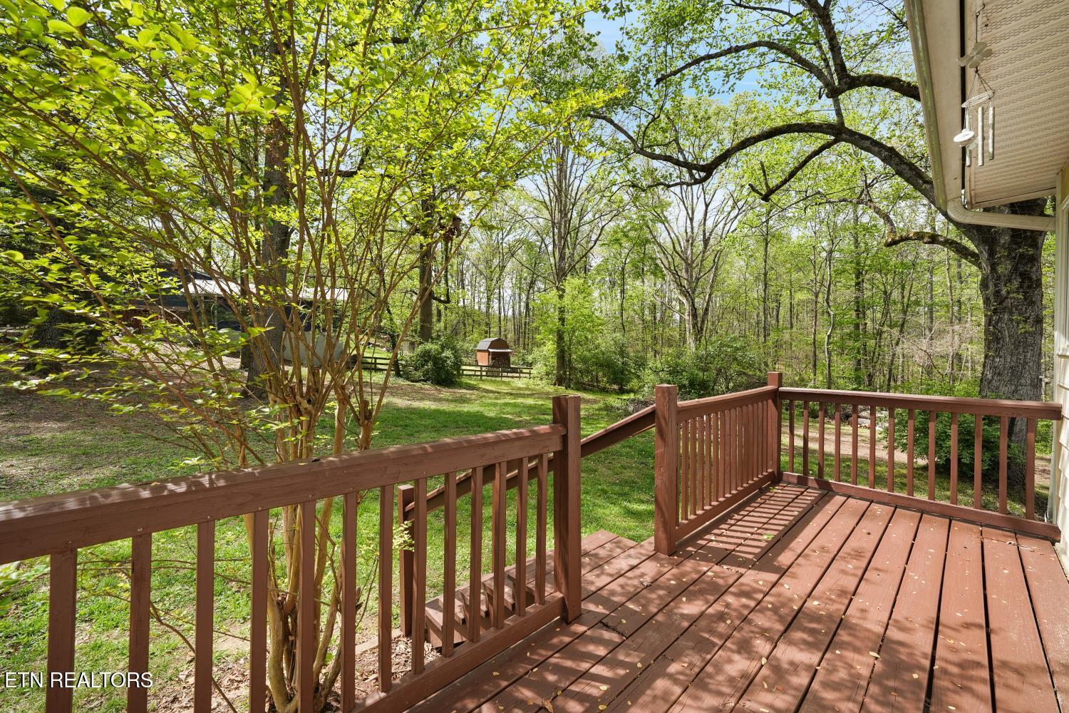 745 Hinkle Road Seymour, TN 37865 - Photo 23 of 40 IMG_5758