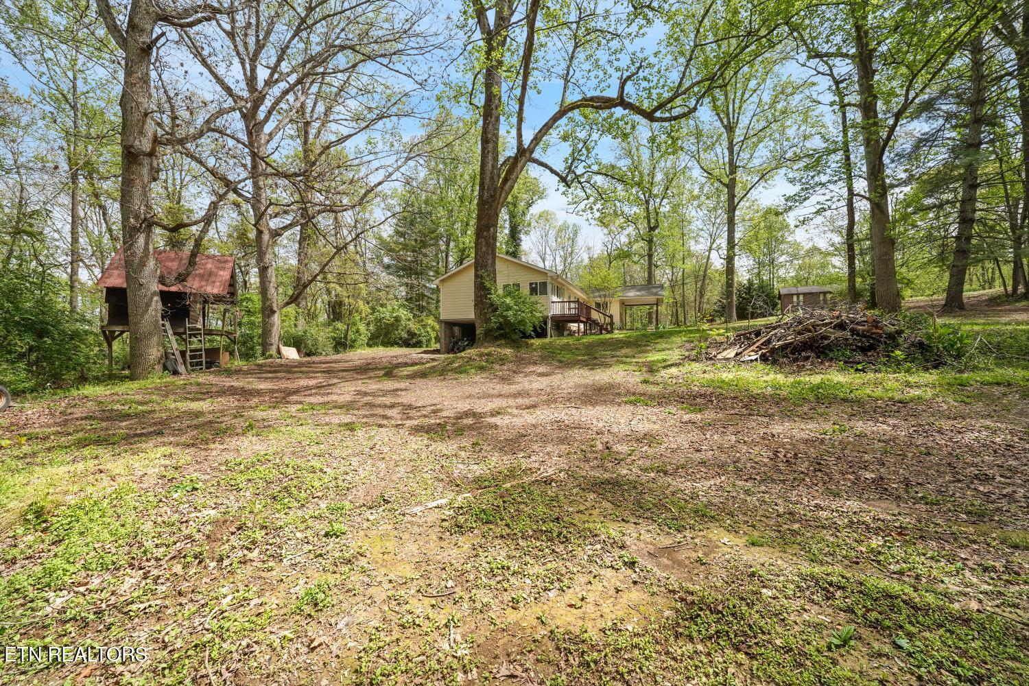 745 Hinkle Road Seymour, TN 37865 - Photo 30 of 40 IMG_5765