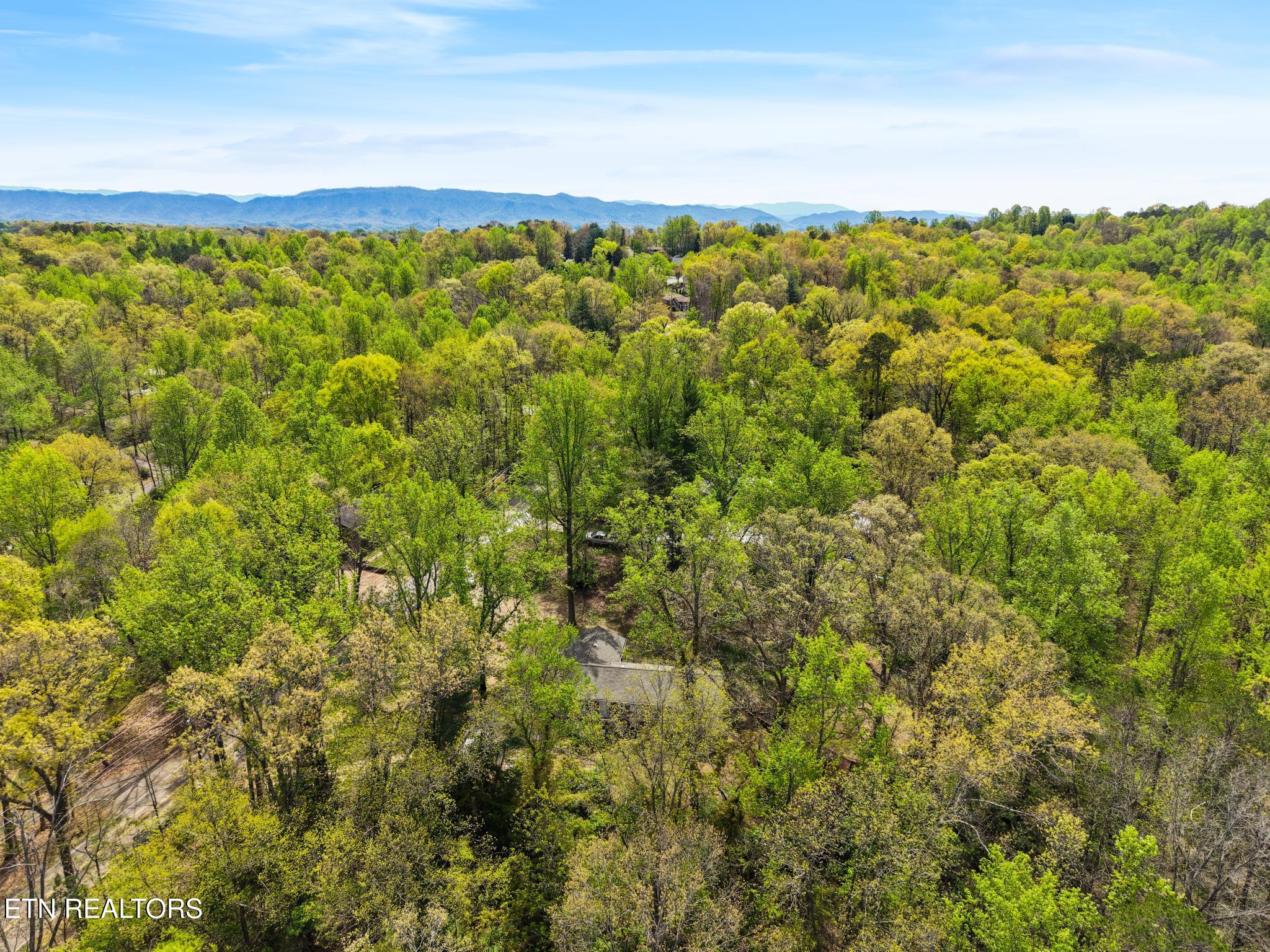 745 Hinkle Road Seymour, TN 37865 - Photo 40 of 40 IMG_5776