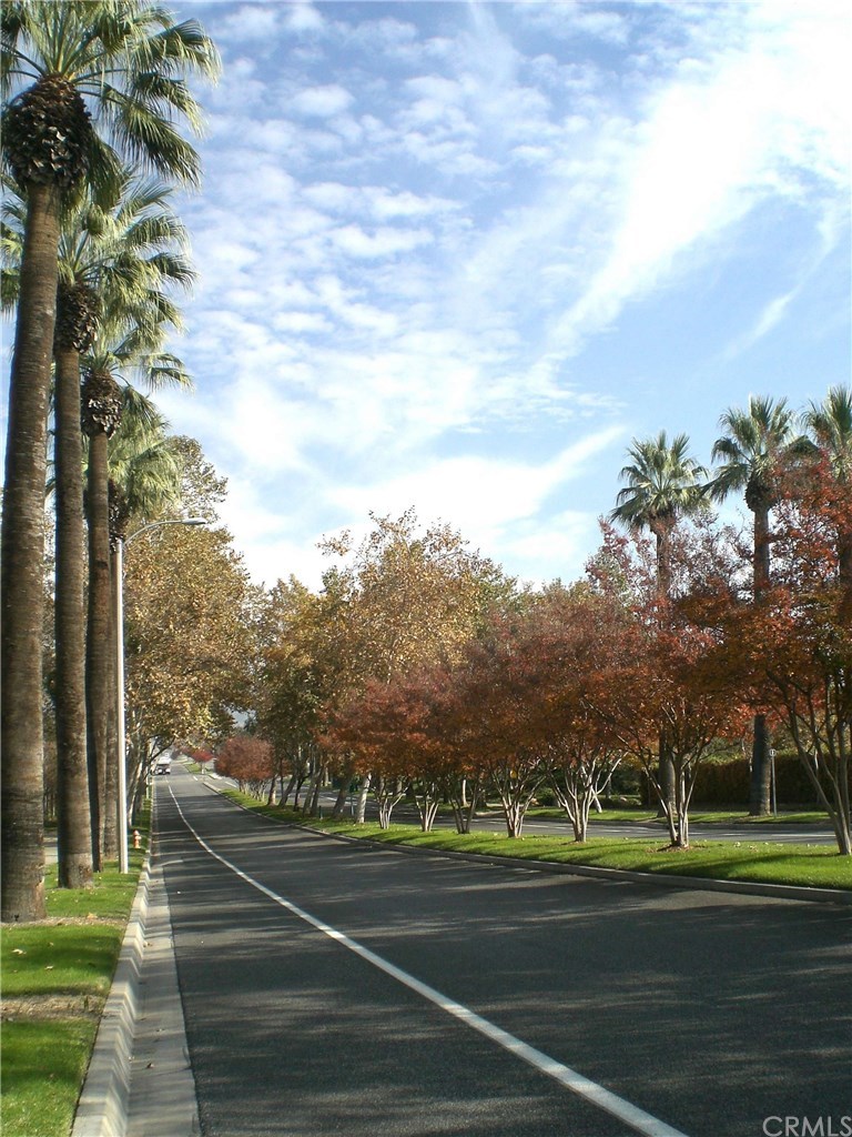 29357 Bacon Lane Highland, CA 92346 - Photo 60 of 74