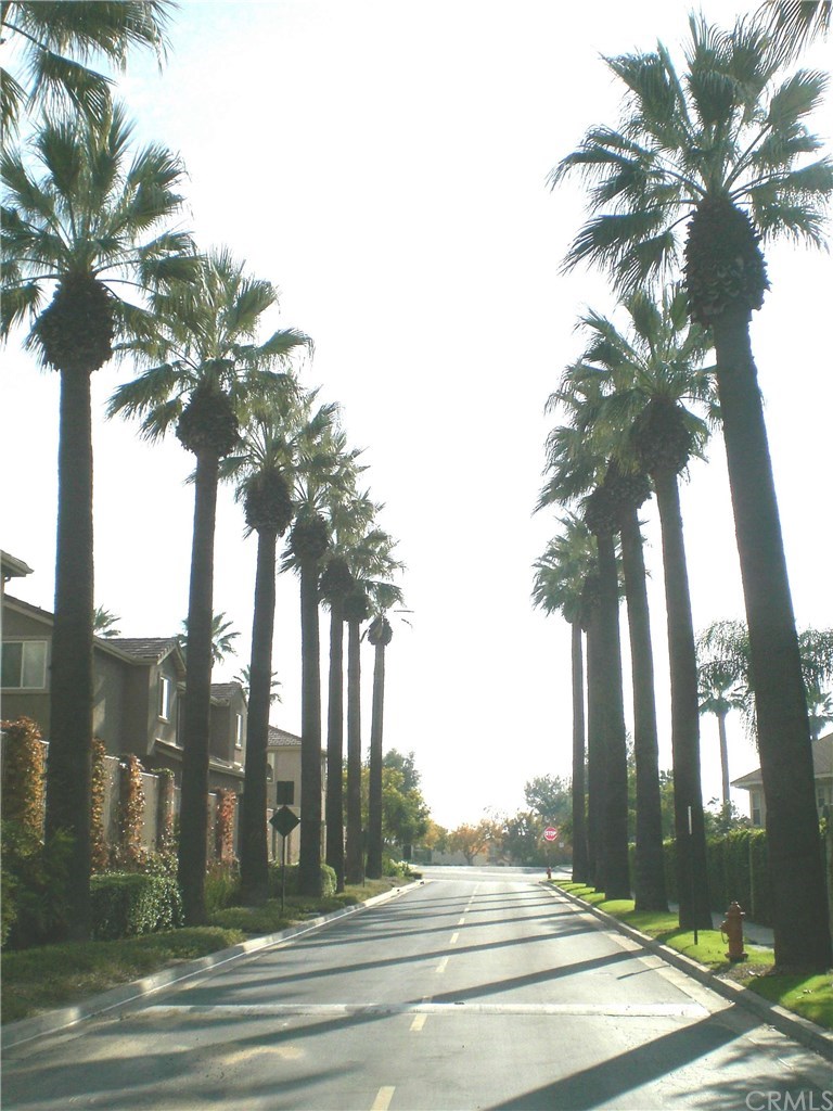 29357 Bacon Lane Highland, CA 92346 - Photo 61 of 74