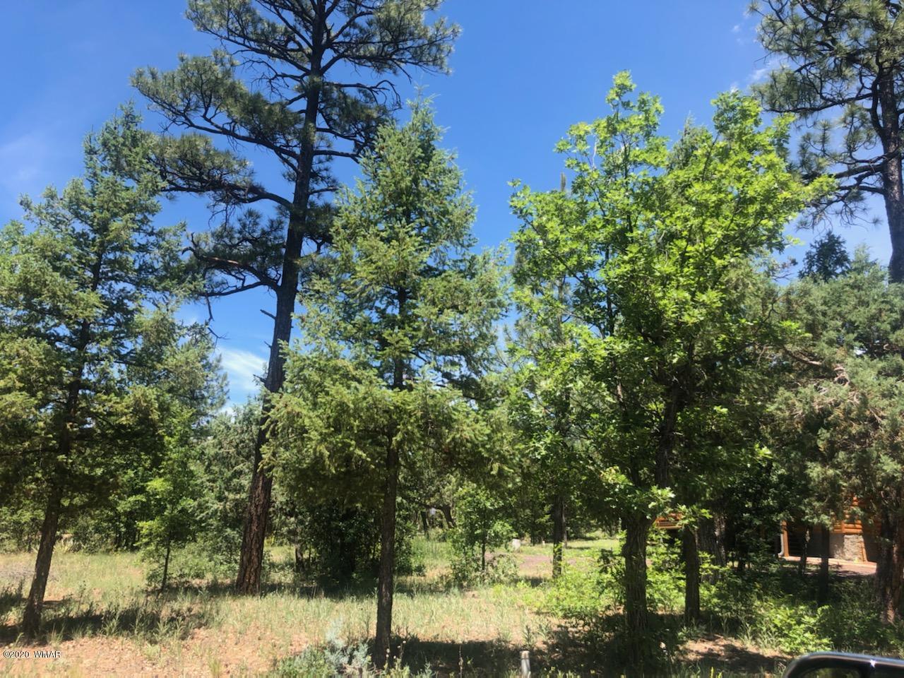1661 East Rim Road Lakeside, AZ 85929 - Photo 12 of 14 Gallery Image 12