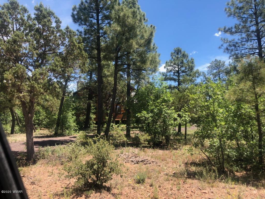 1661 East Rim Road Lakeside, AZ 85929 - Photo 8 of 14 Gallery Image 8