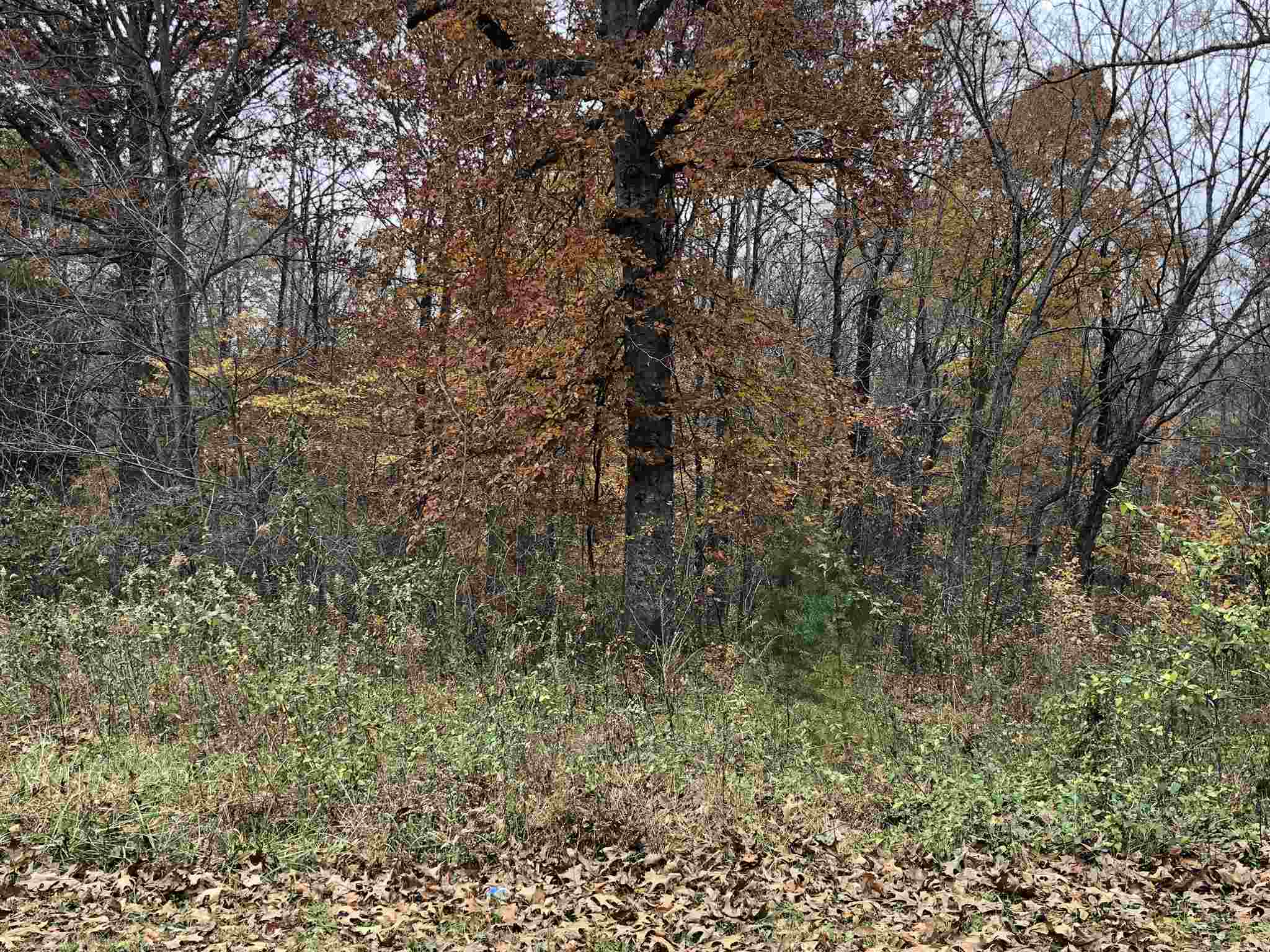 175 North Co Road Medora, IN 47260 - Photo 17 of 17