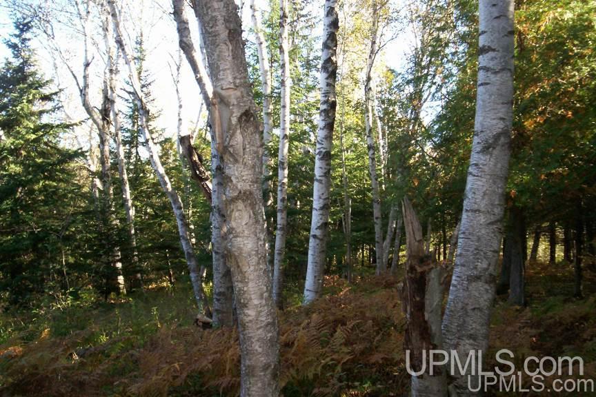 Tbd 140 Acres Off Parkington Road Gulliver, MI 49840 - Photo 5 of 11