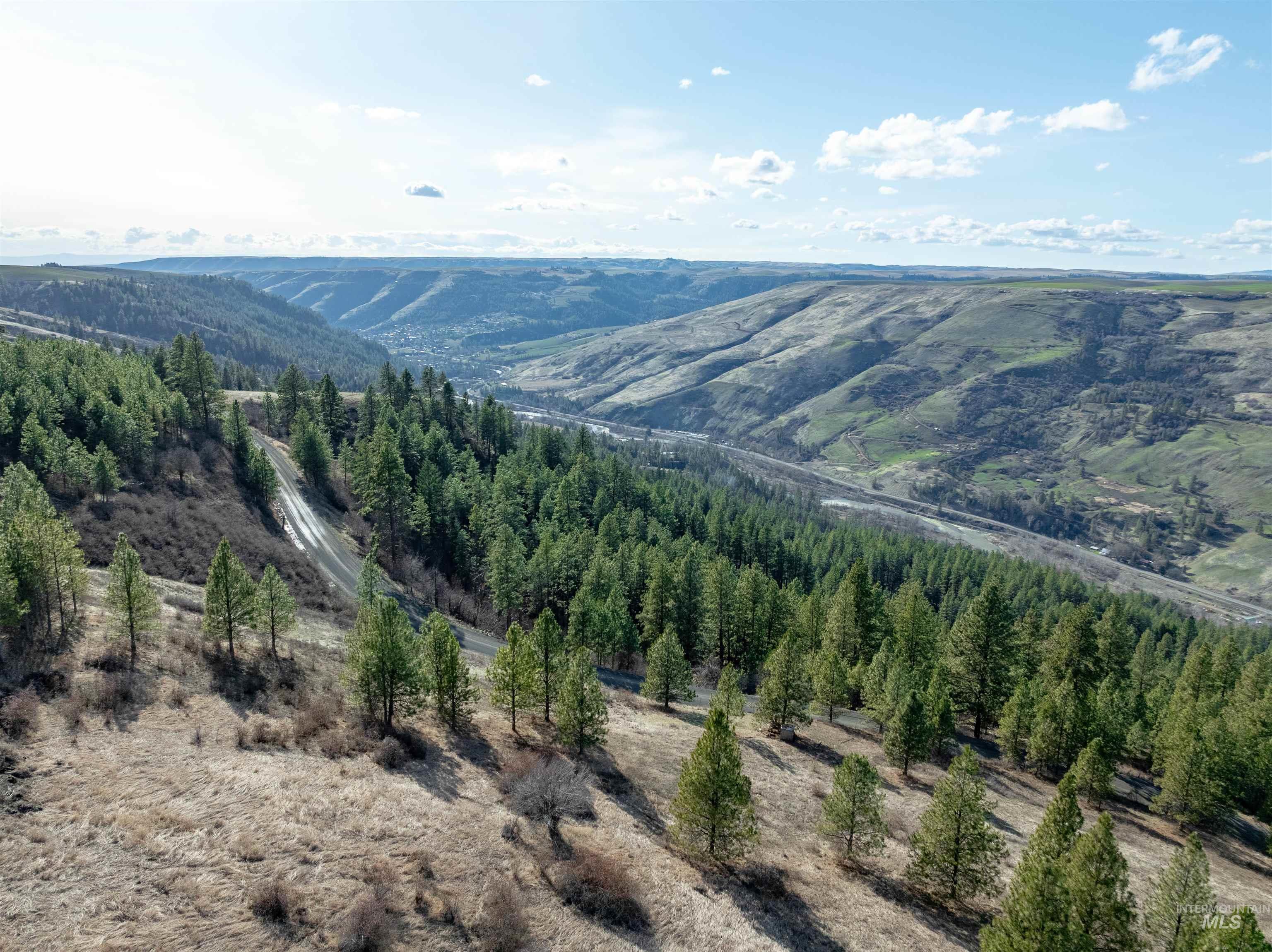 Tbd Sperry Grade Road Kendrick, ID 83537 - Photo 11 of 12