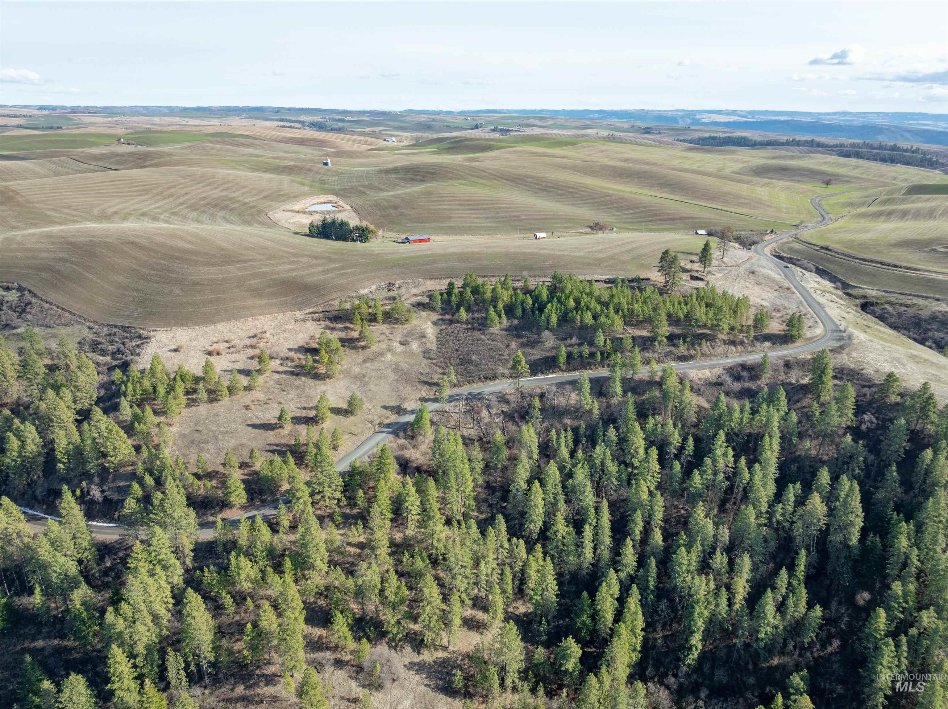 Tbd Sperry Grade Road Kendrick, ID 83537 - Photo 3 of 12