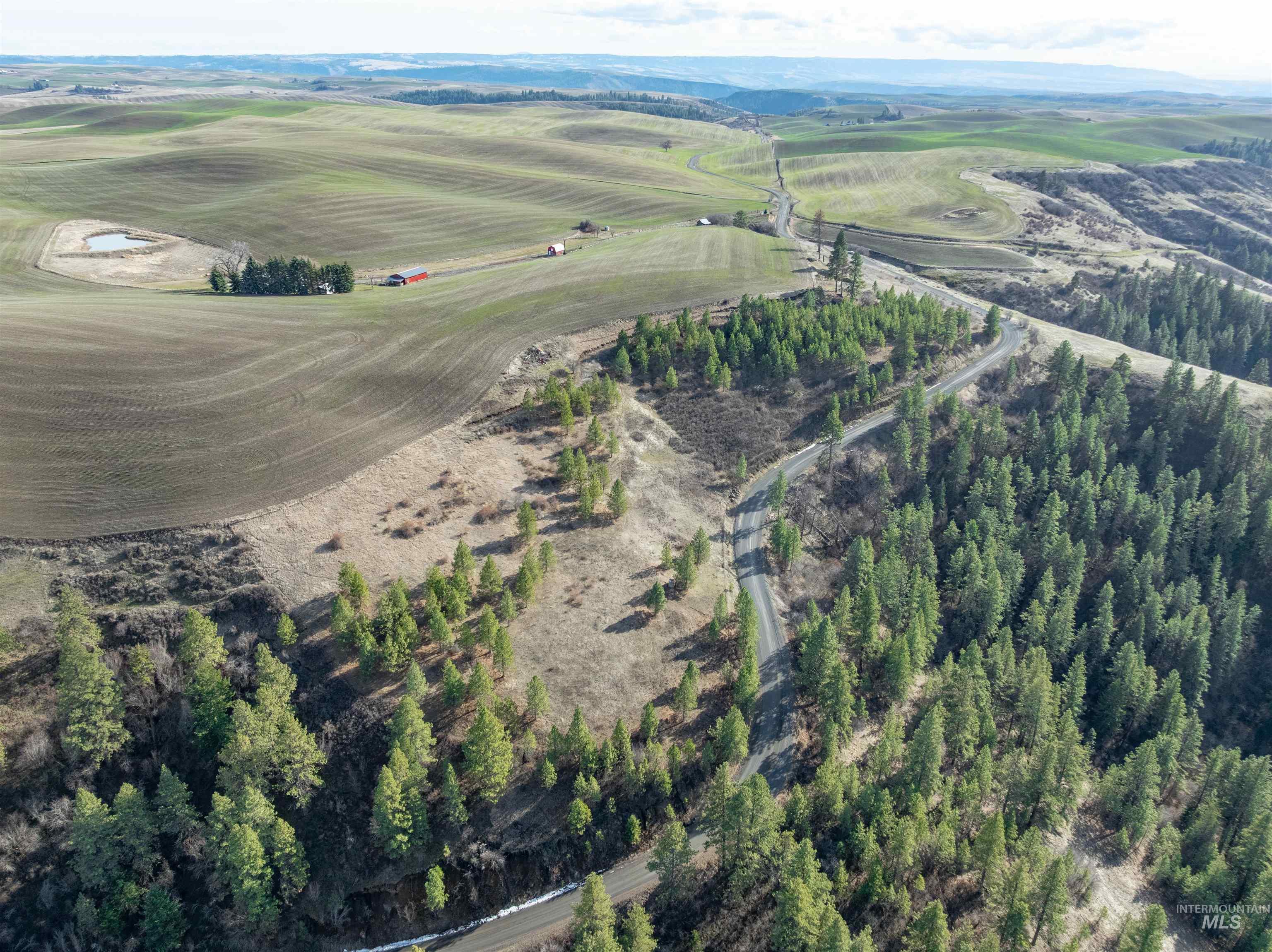 Tbd Sperry Grade Road Kendrick, ID 83537 - Photo 4 of 12