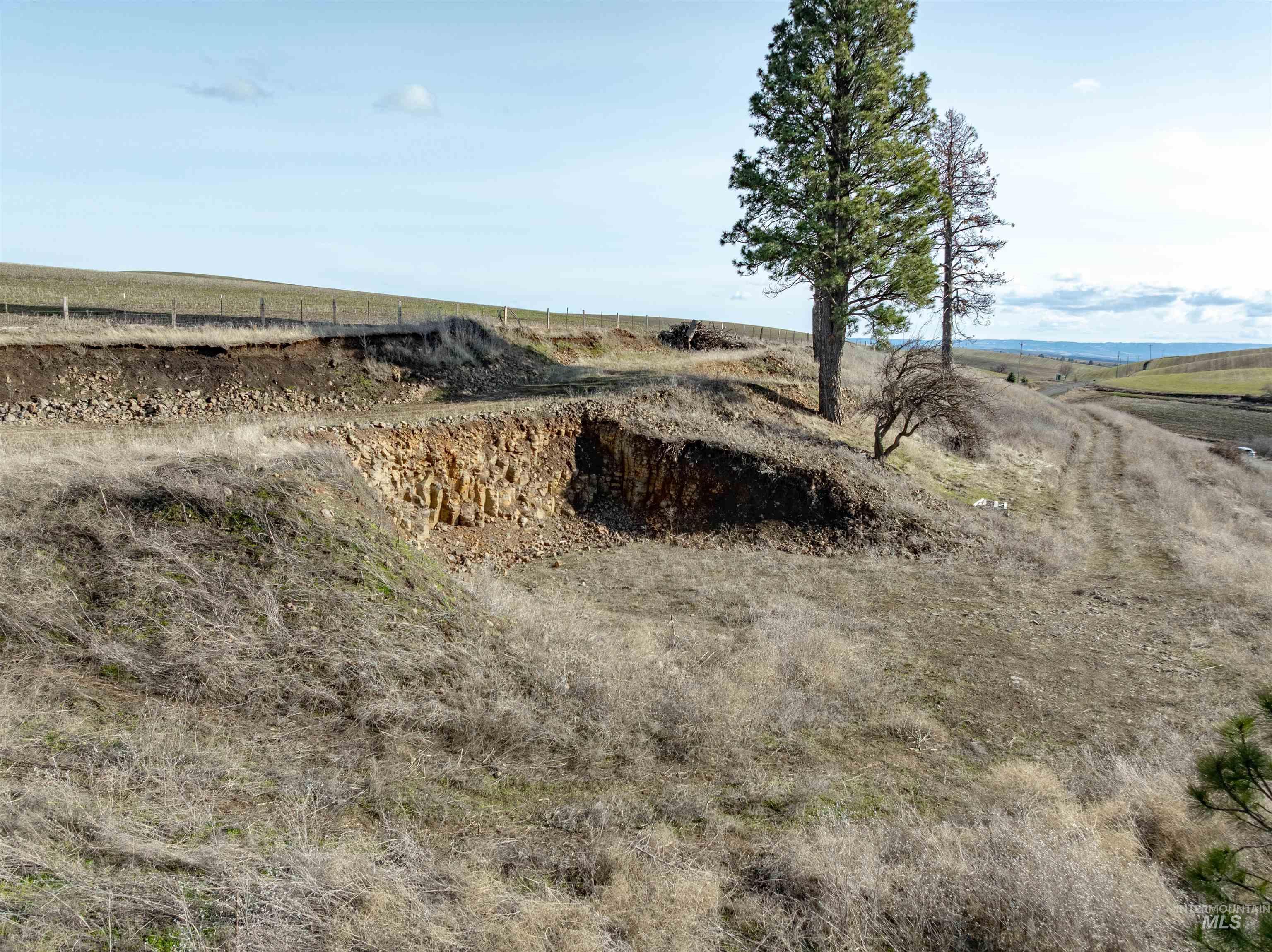 Tbd Sperry Grade Road Kendrick, ID 83537 - Photo 8 of 12