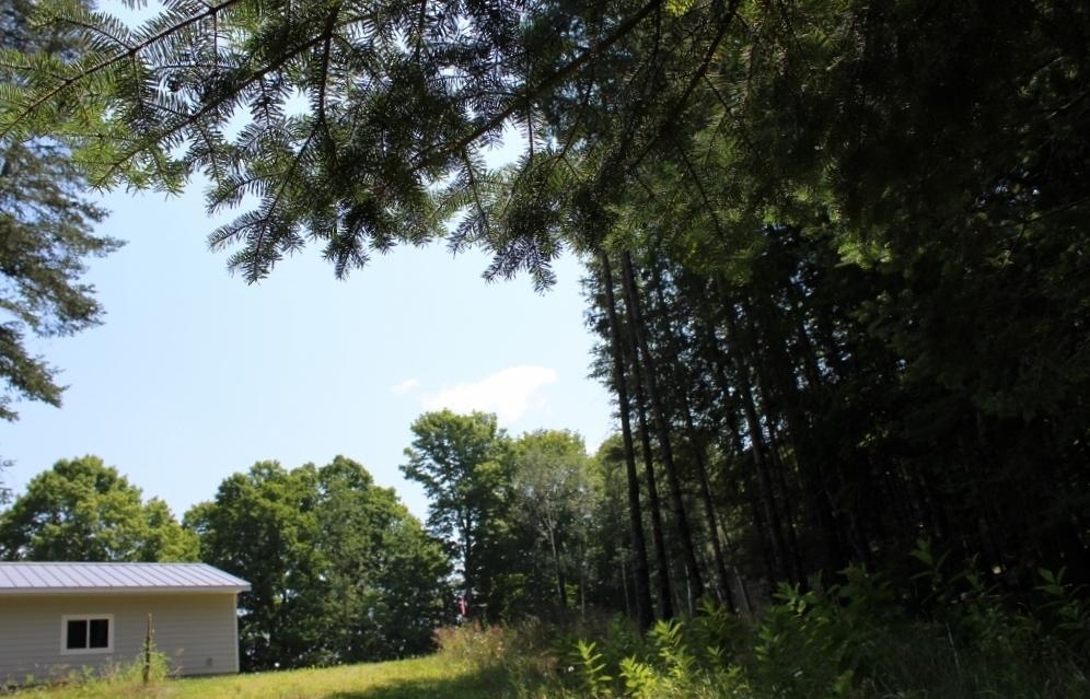 Forest Lane, Unit 4 Pickerel, WI 54465 - Photo 9 of 18