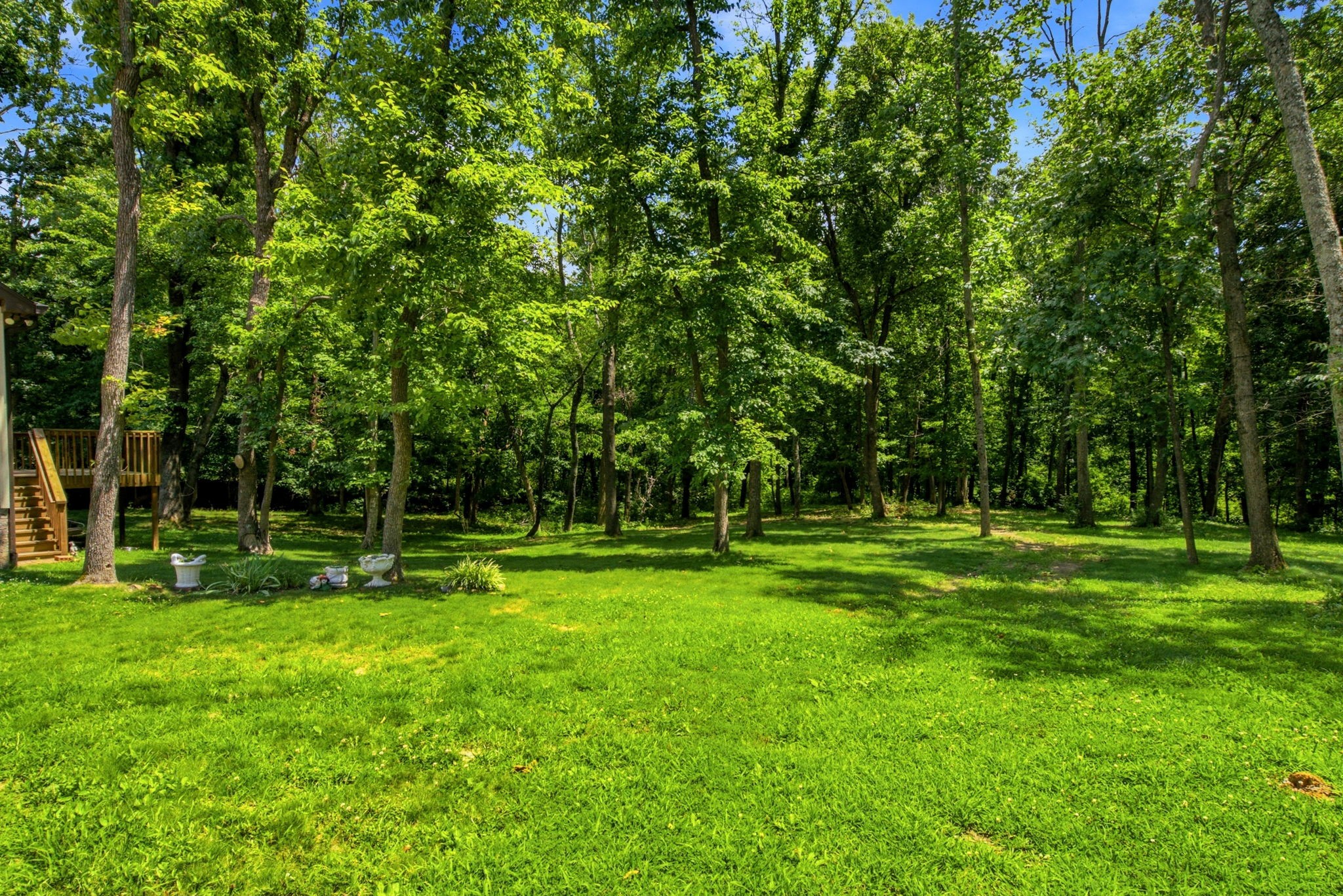 4423 Taylor Road Springfield, TN 37172 - Photo 36 of 53