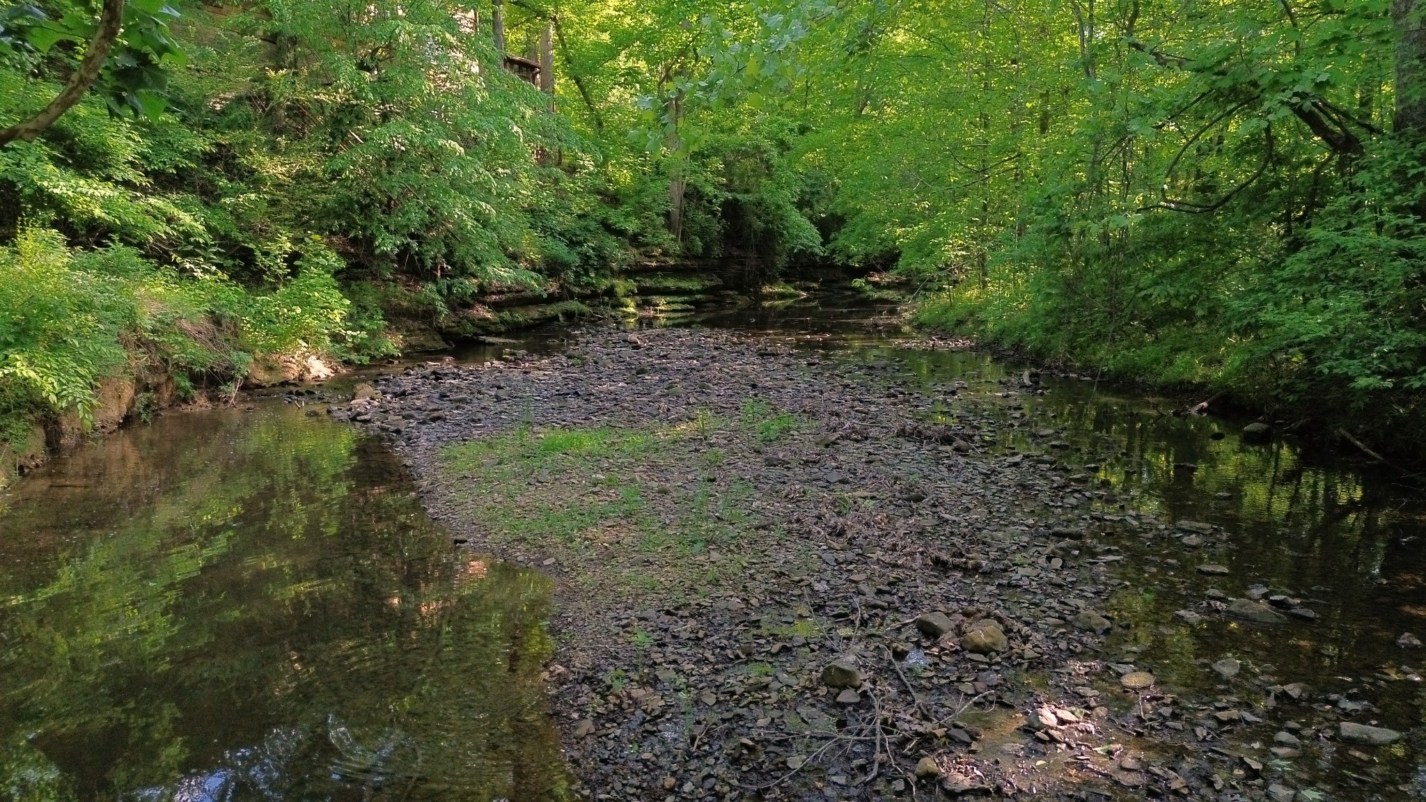 2634 Distillery Road Greenbrier, TN 37073 - Photo 33 of 37 Gallery Image 33