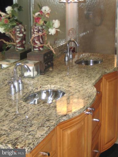 2403 Glade Bank Way Reston, VA 20191 - Photo 16 of 28 Master Bath